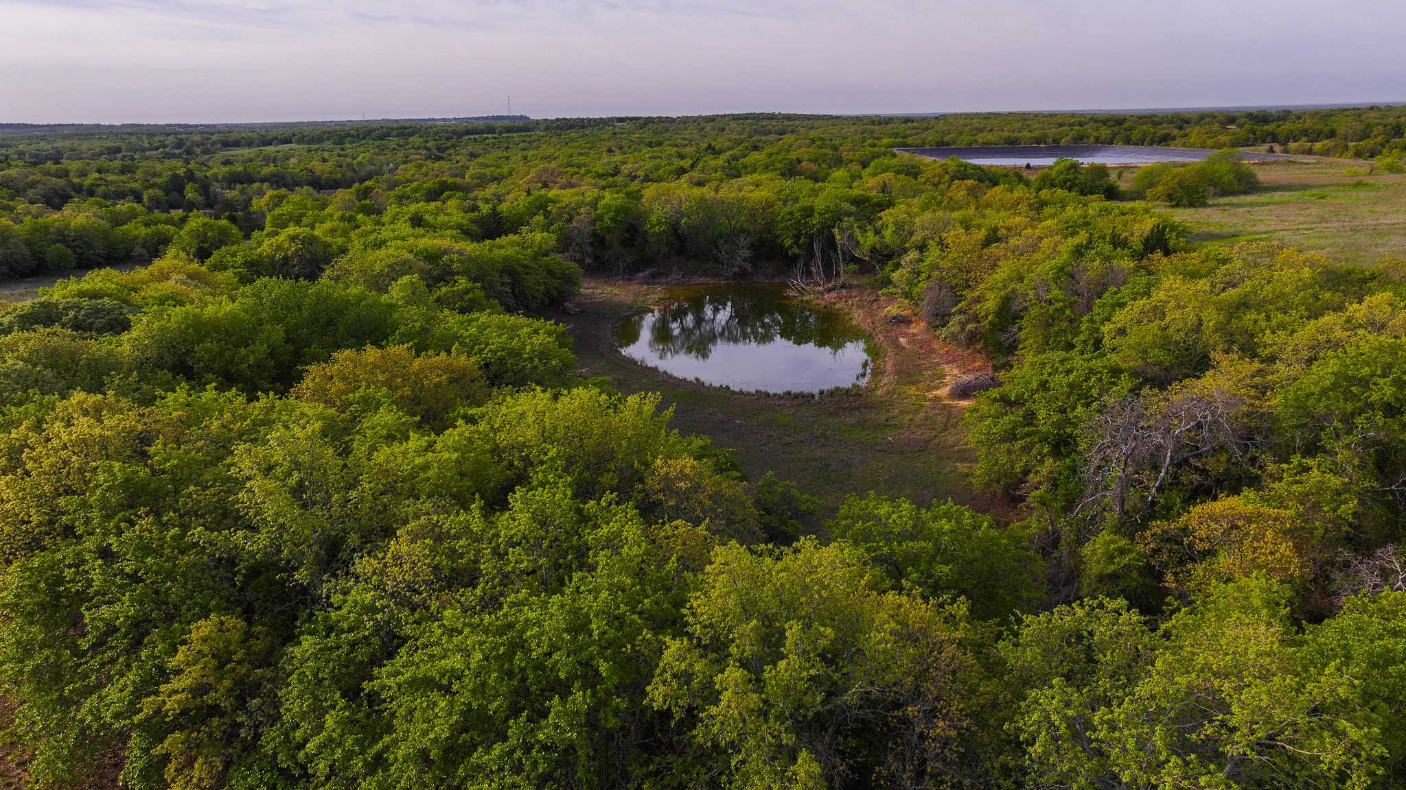 485 acre Hunting Ranch in Montague County Texas