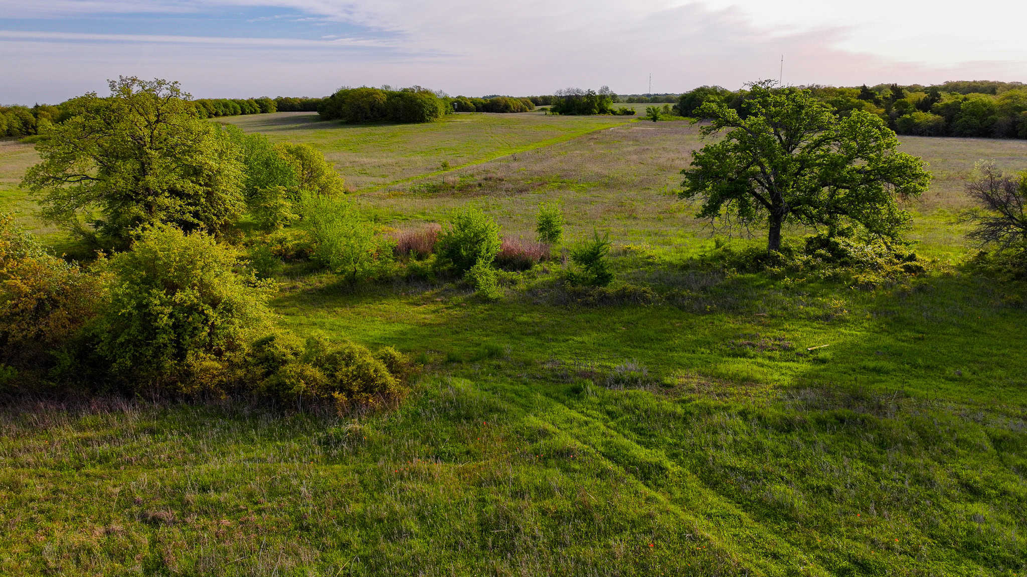 485 acre Hunting Ranch in Montague County Texas
