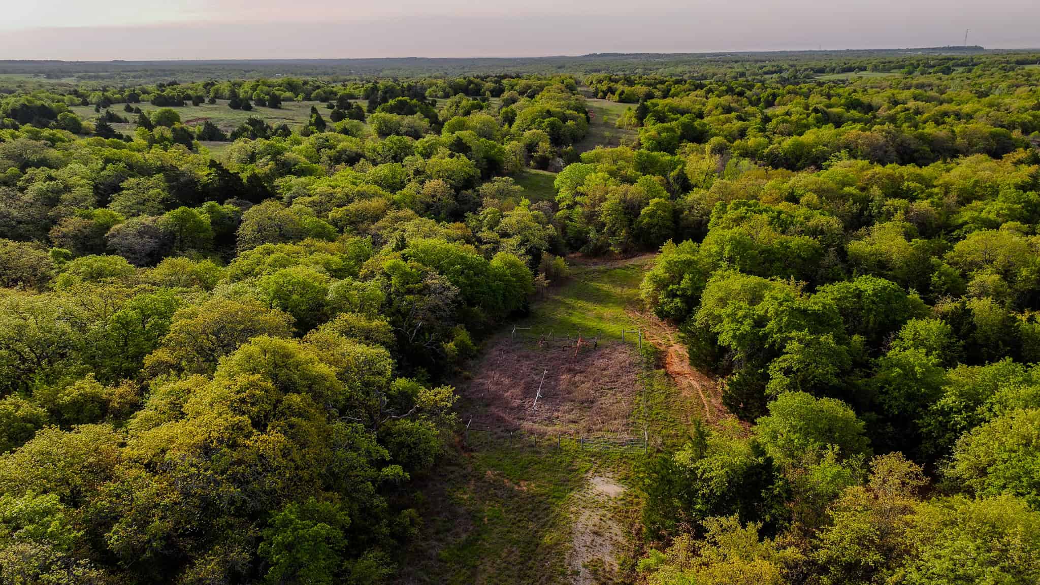 485 acre Hunting Ranch in Montague County Texas