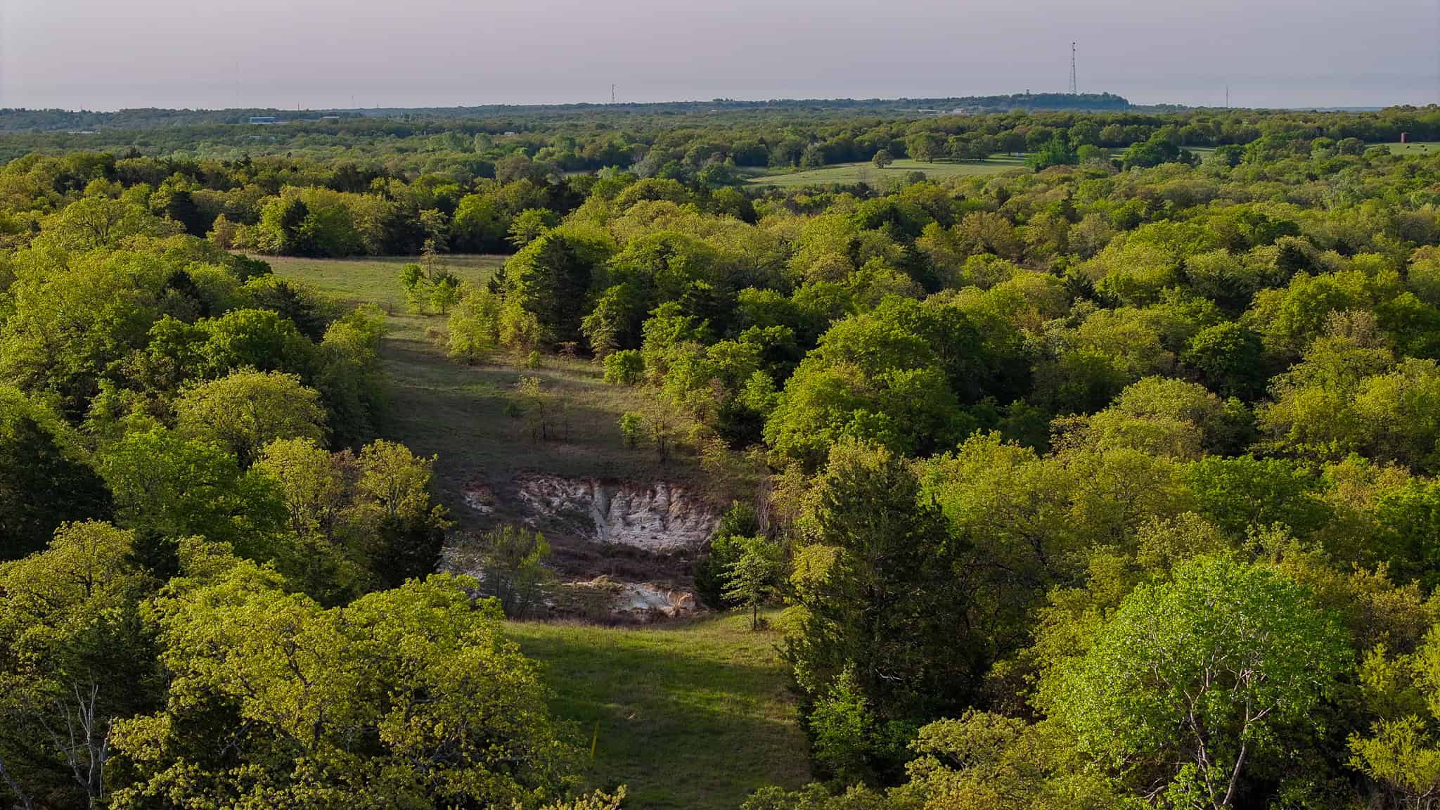 485 acre Hunting Ranch in Montague County Texas