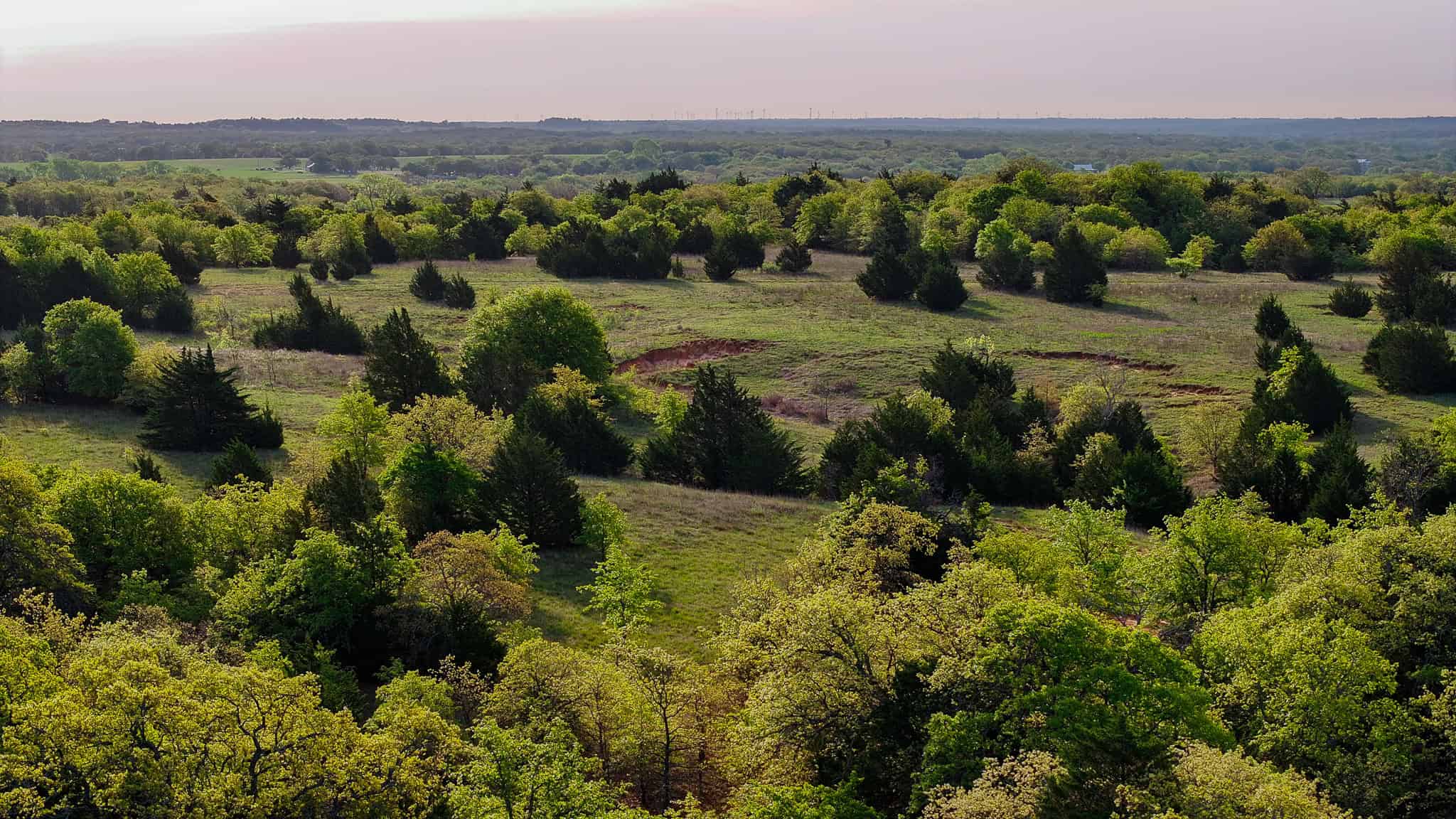 485 acre Hunting Ranch in Montague County Texas
