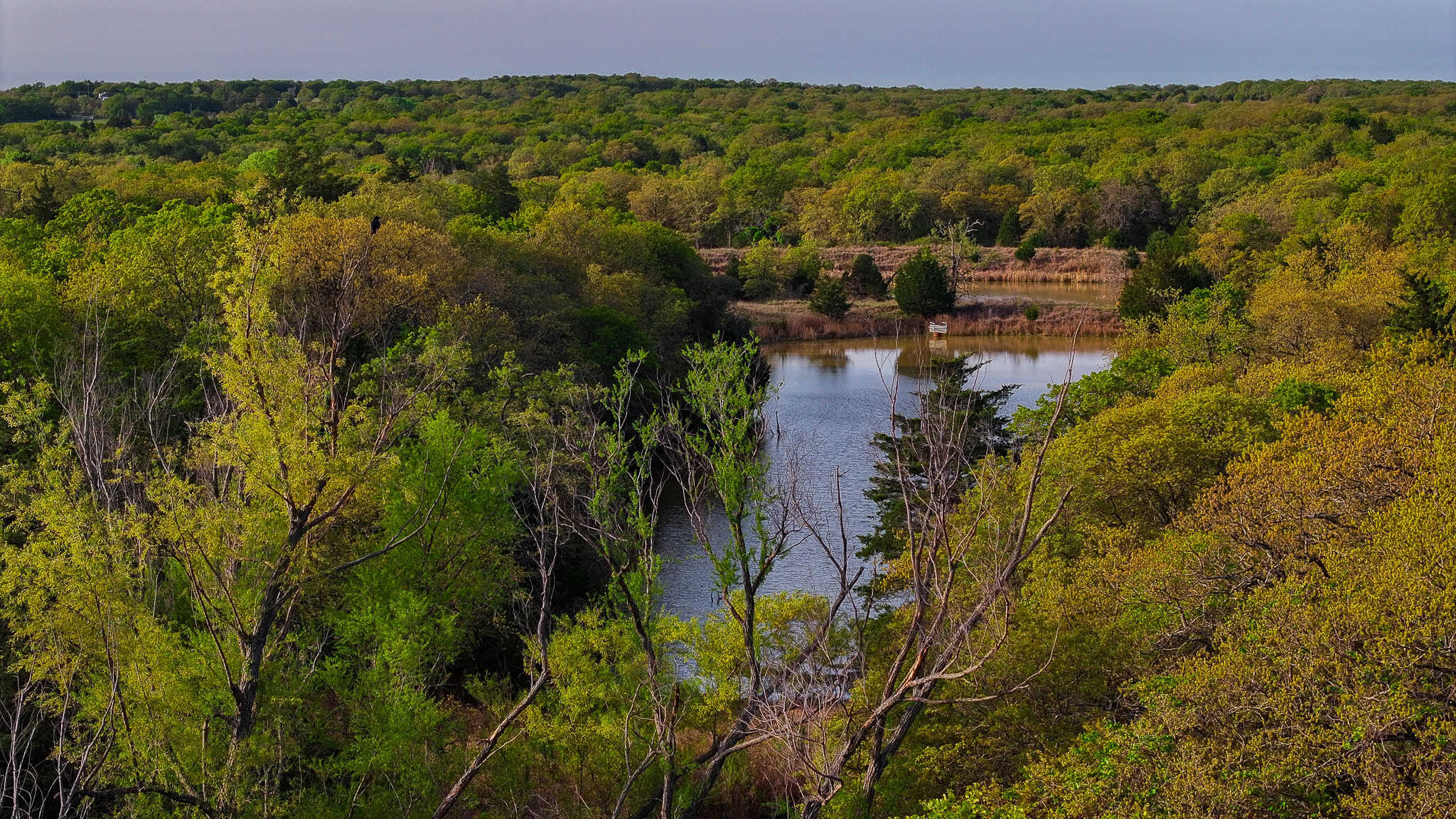 485 acre Hunting Ranch in Montague County Texas