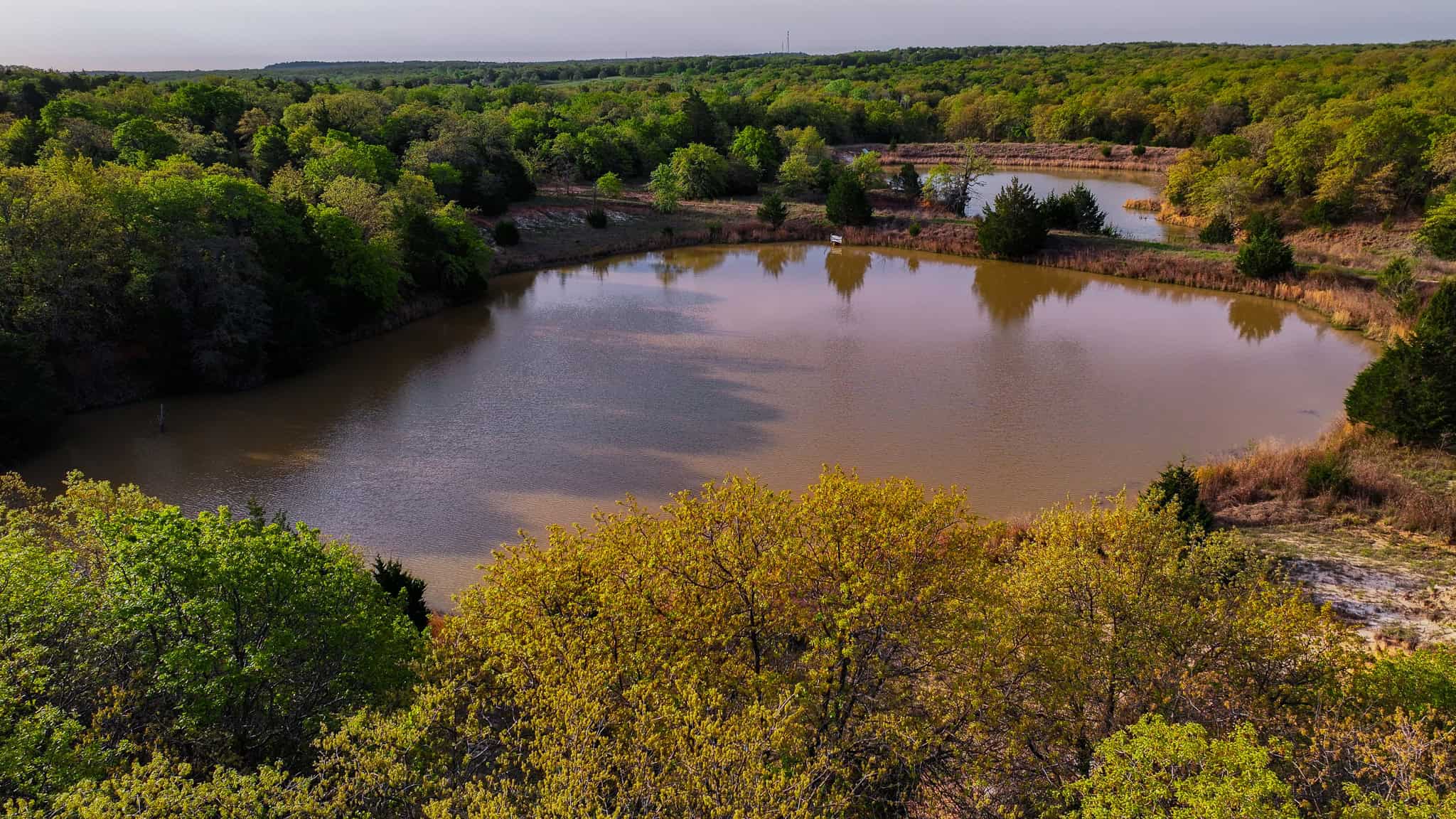485 acre Hunting Ranch in Montague County Texas