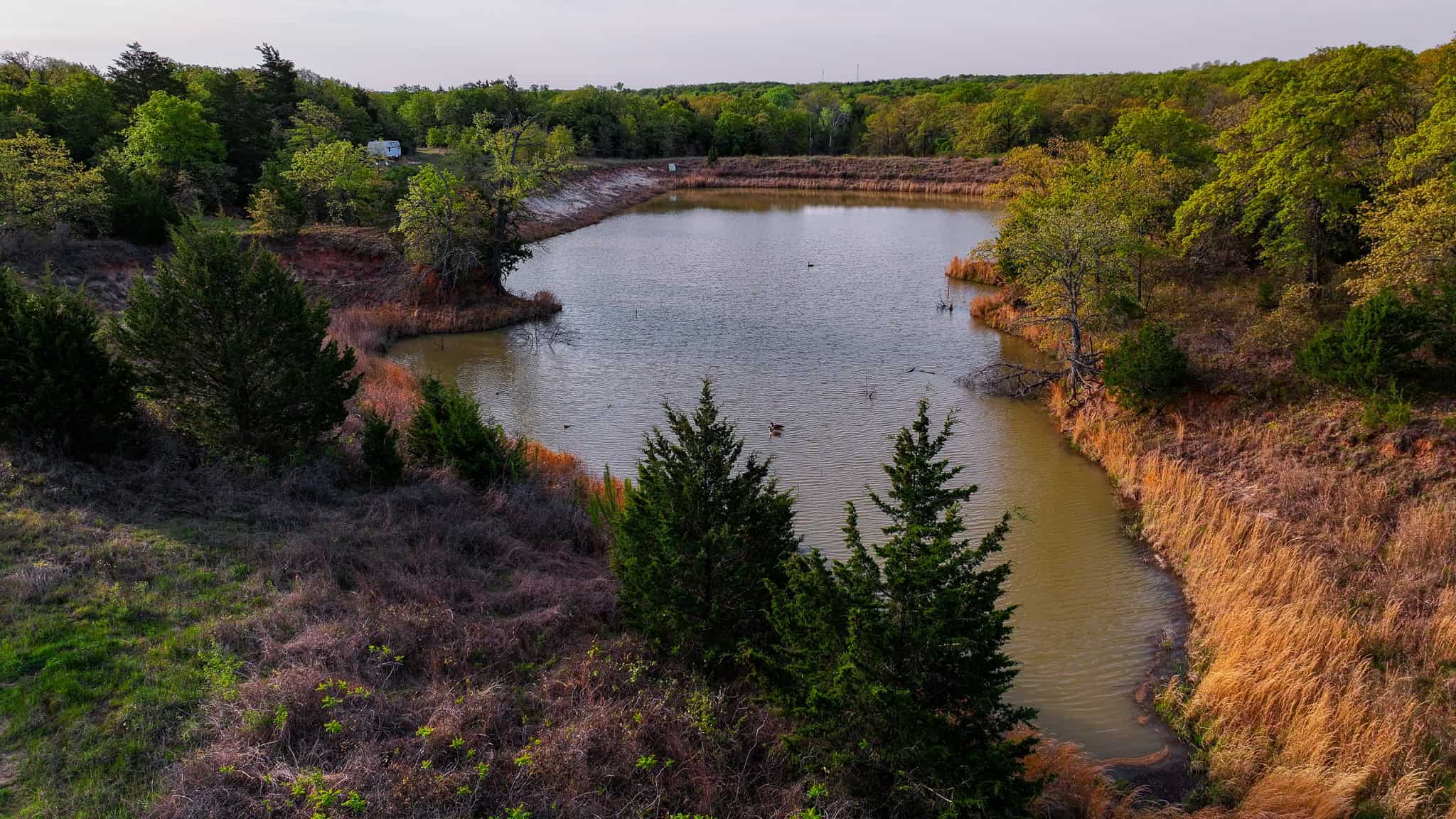 485 acre Hunting Ranch in Montague County Texas