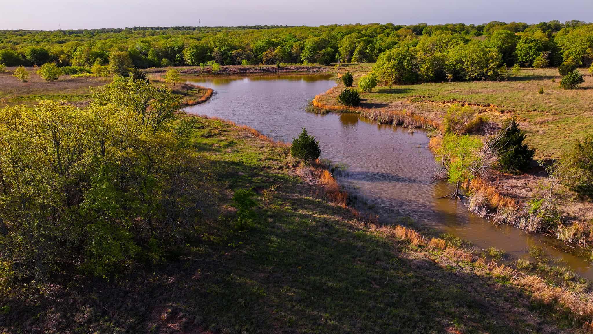 485 acre Hunting Ranch in Montague County Texas