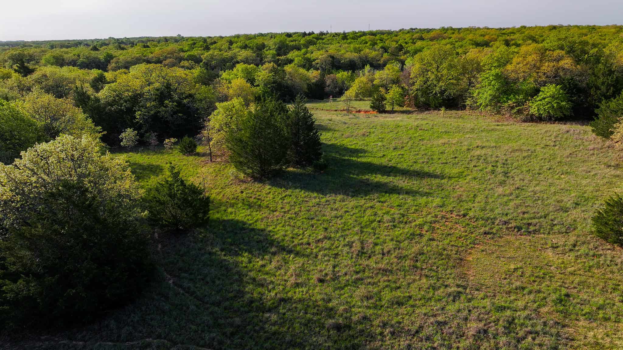 485 acre Hunting Ranch in Montague County Texas