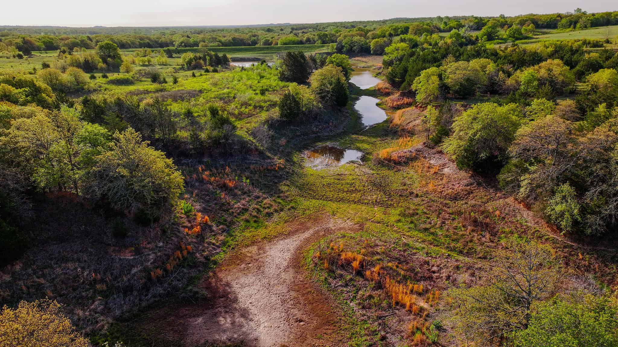 485 acre Hunting Ranch in Montague County Texas