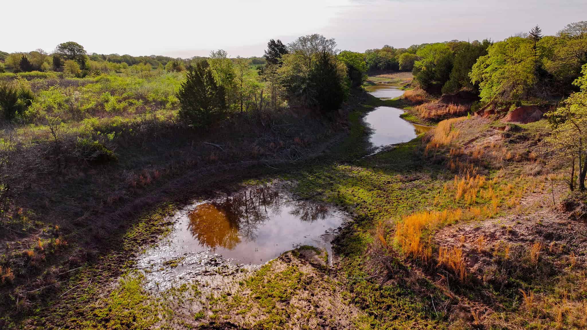 485 acre Hunting Ranch in Montague County Texas