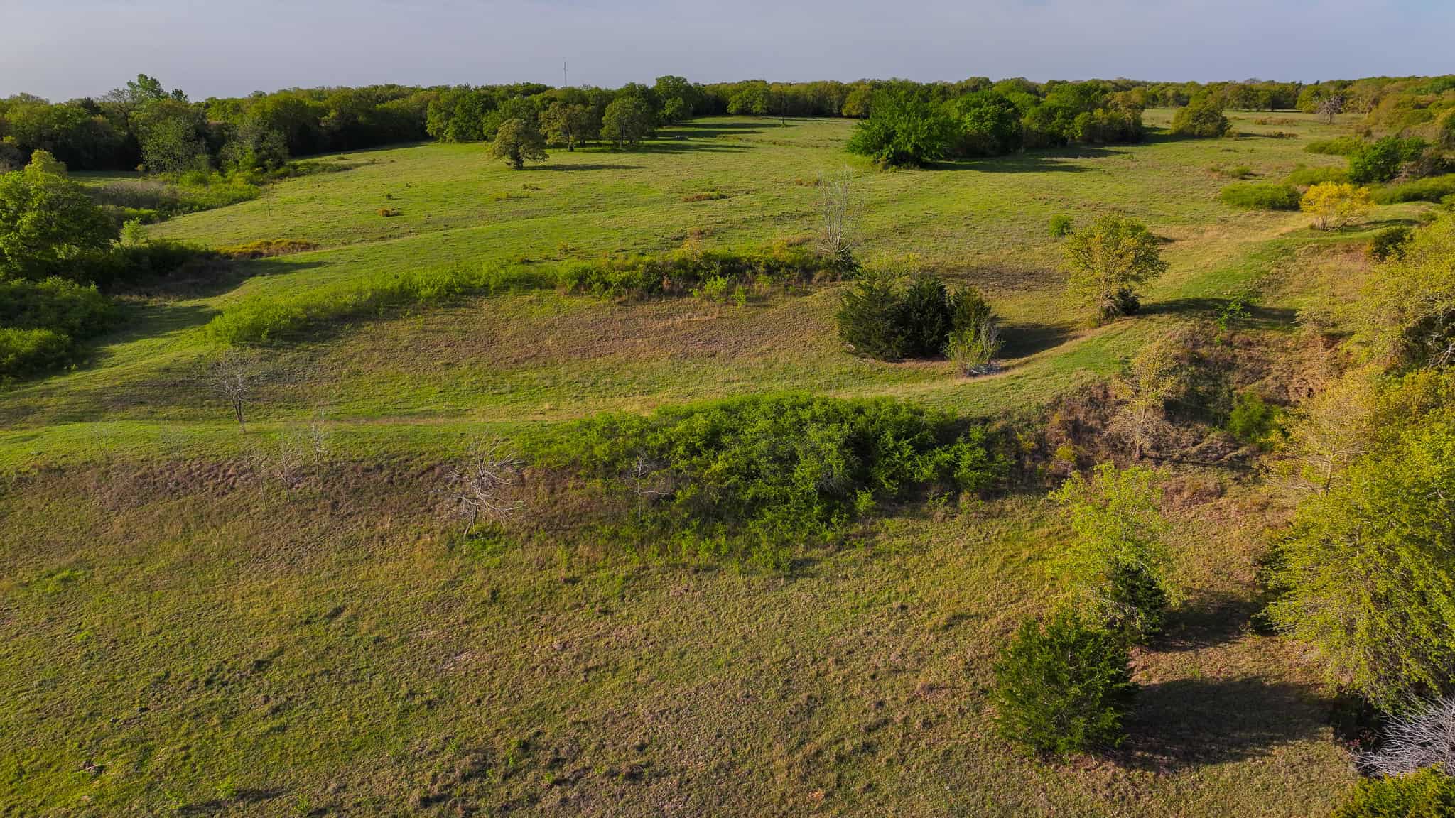 485 acre Hunting Ranch in Montague County Texas