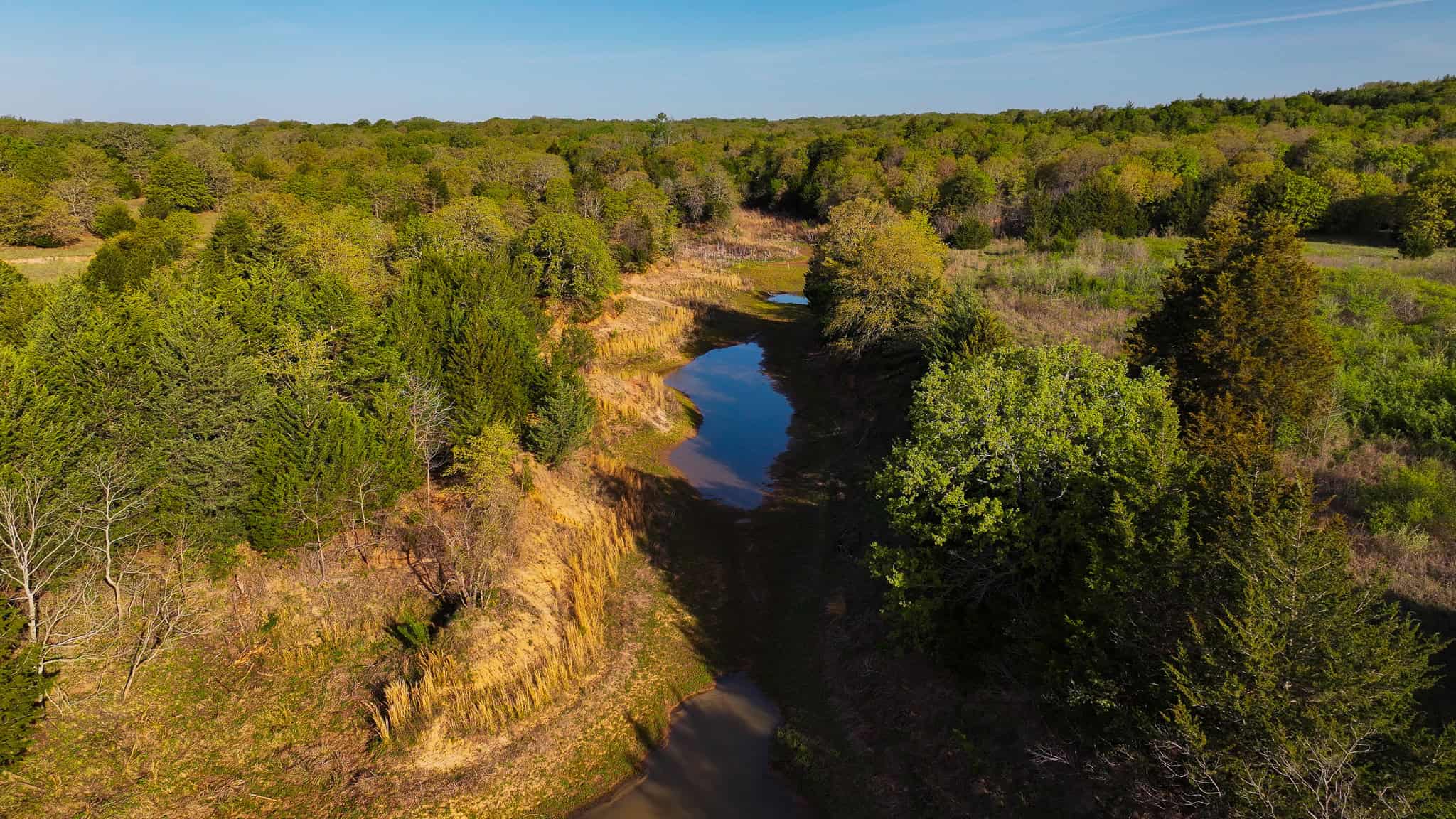 485 acre Hunting Ranch in Montague County Texas