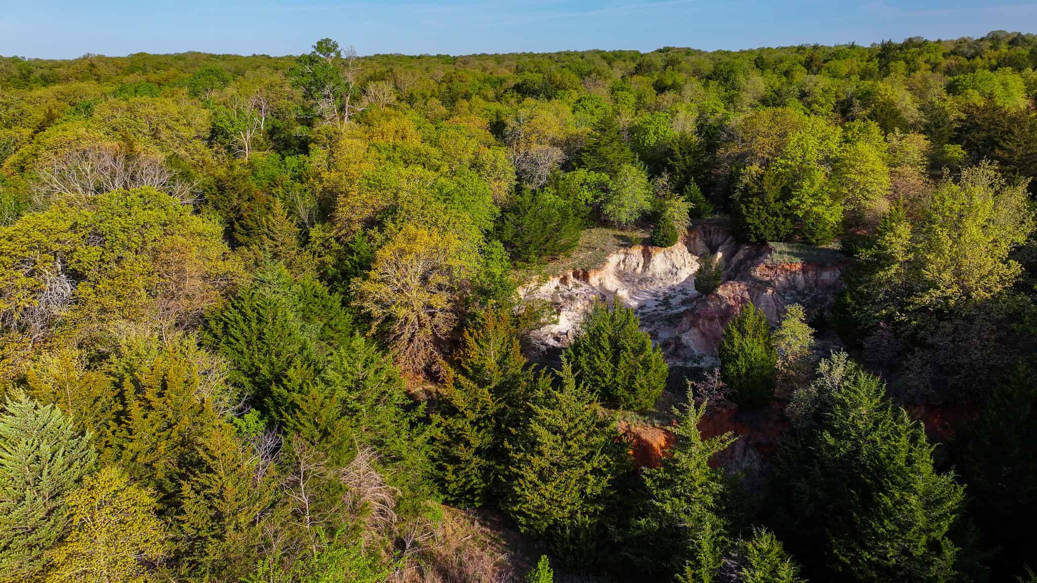 485 acre Hunting Ranch in Montague County Texas