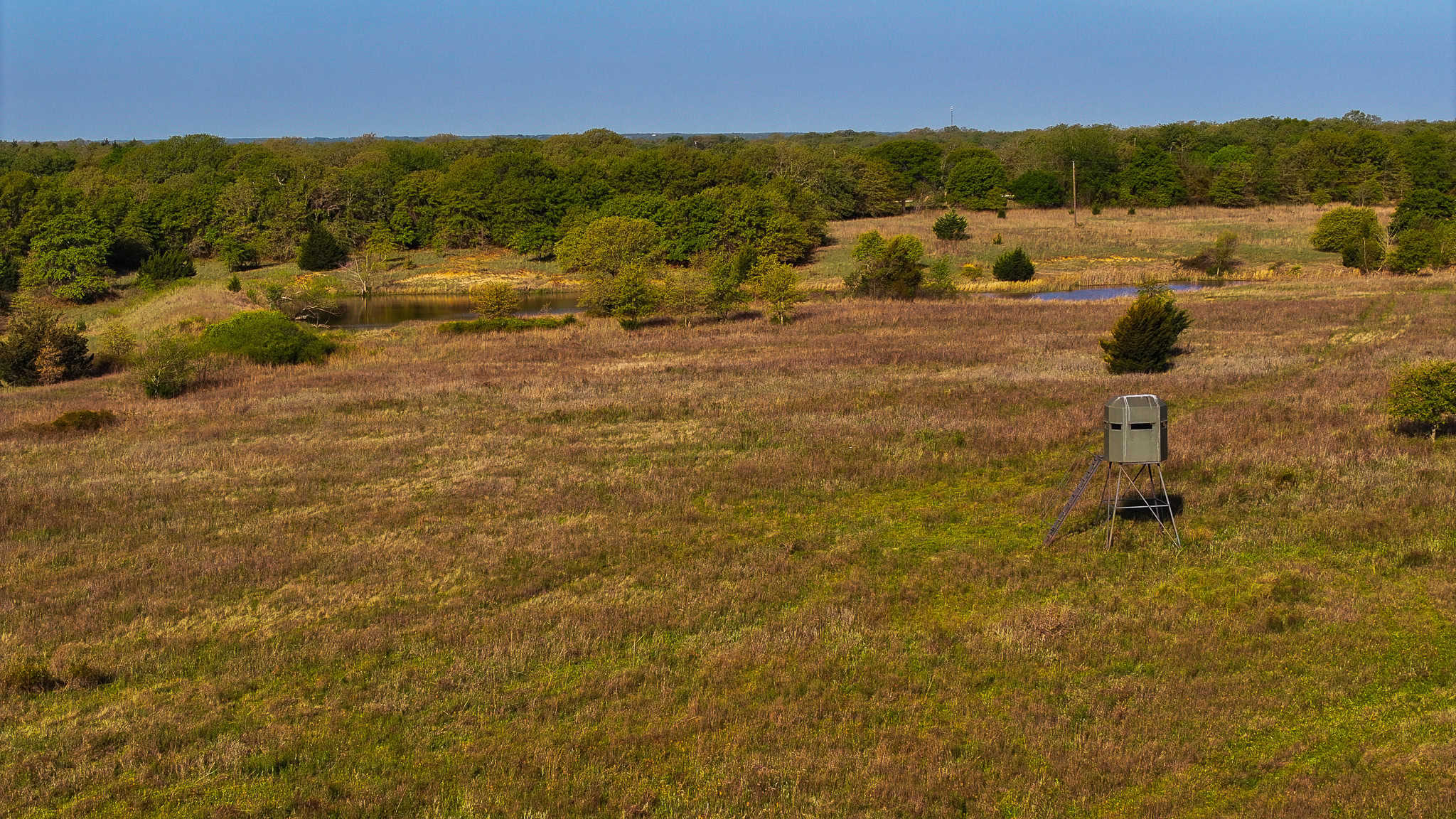 485 acre Hunting Ranch in Montague County Texas