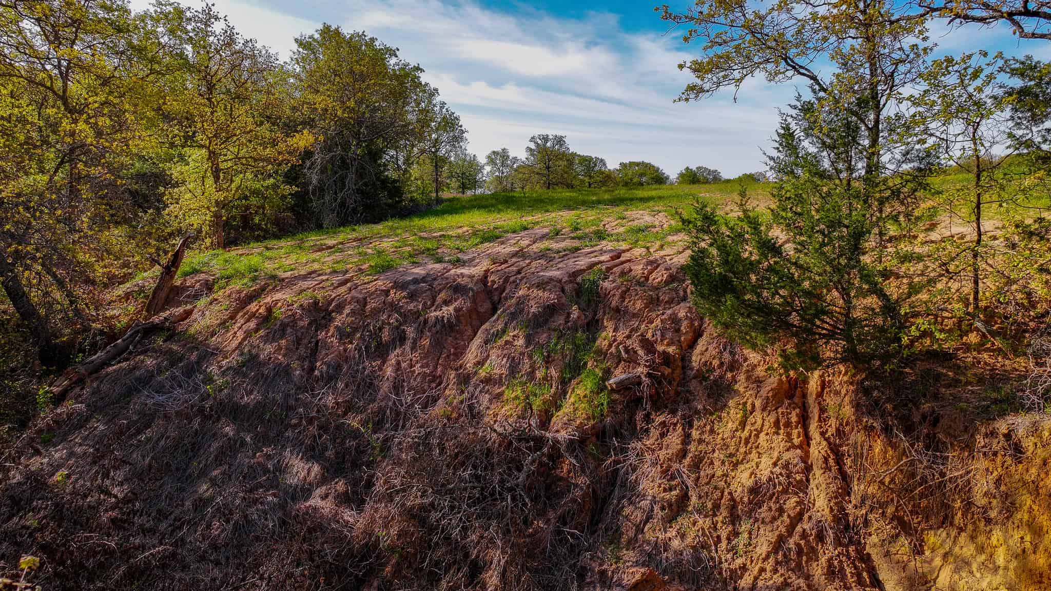 485 acre Hunting Ranch in Montague County Texas