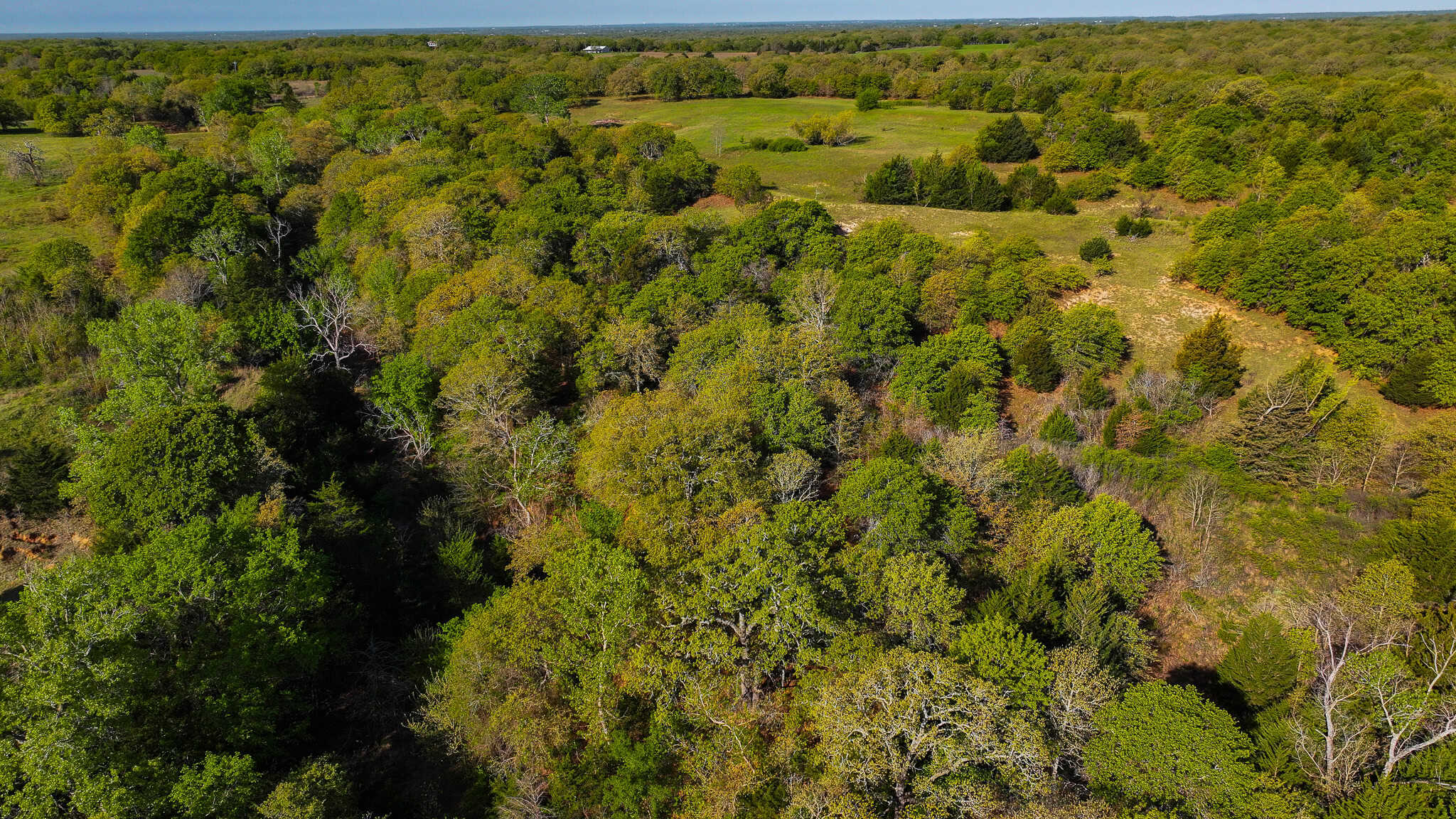 485 acre Hunting Ranch in Montague County Texas