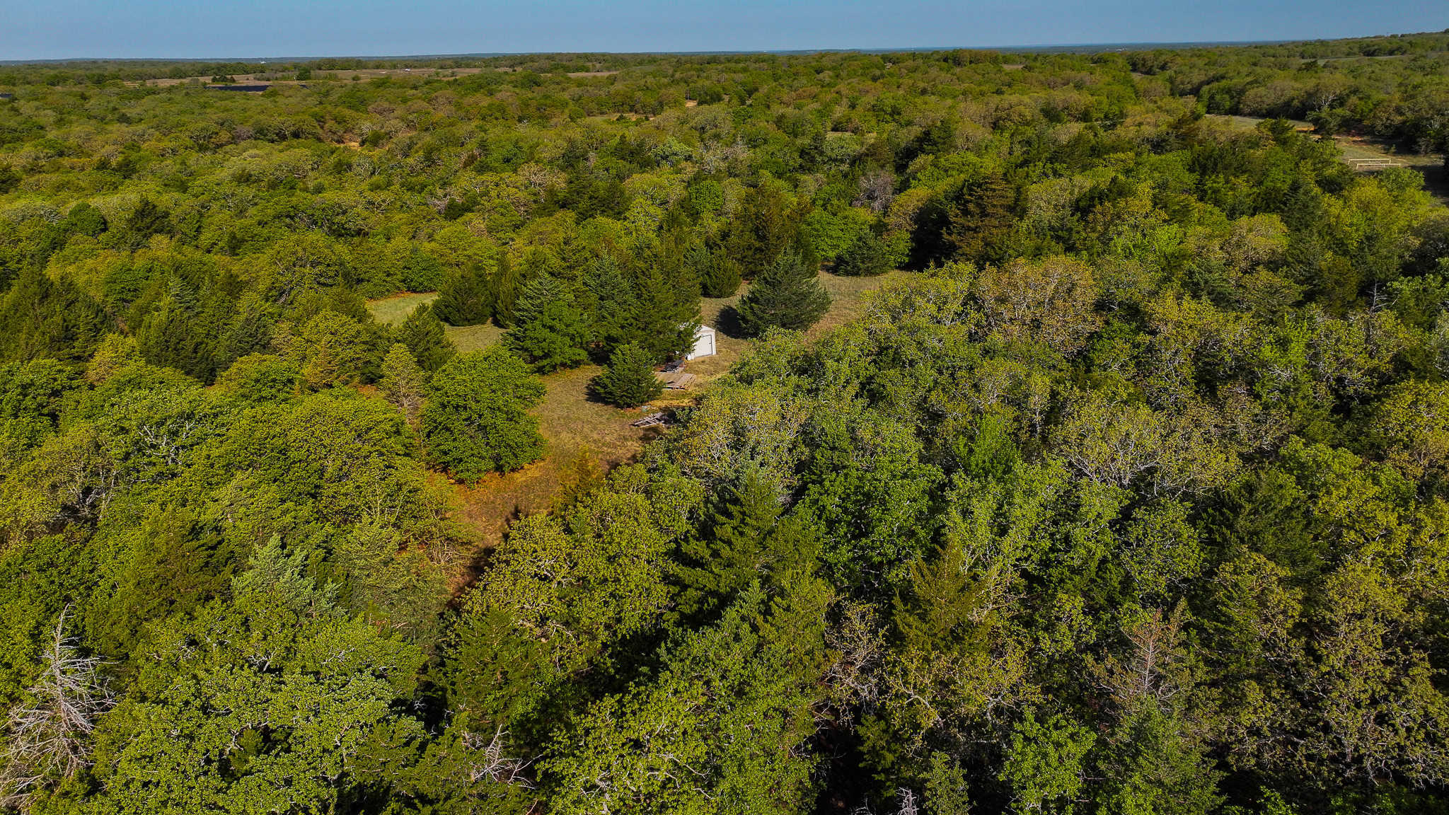 485 acre Hunting Ranch in Montague County Texas