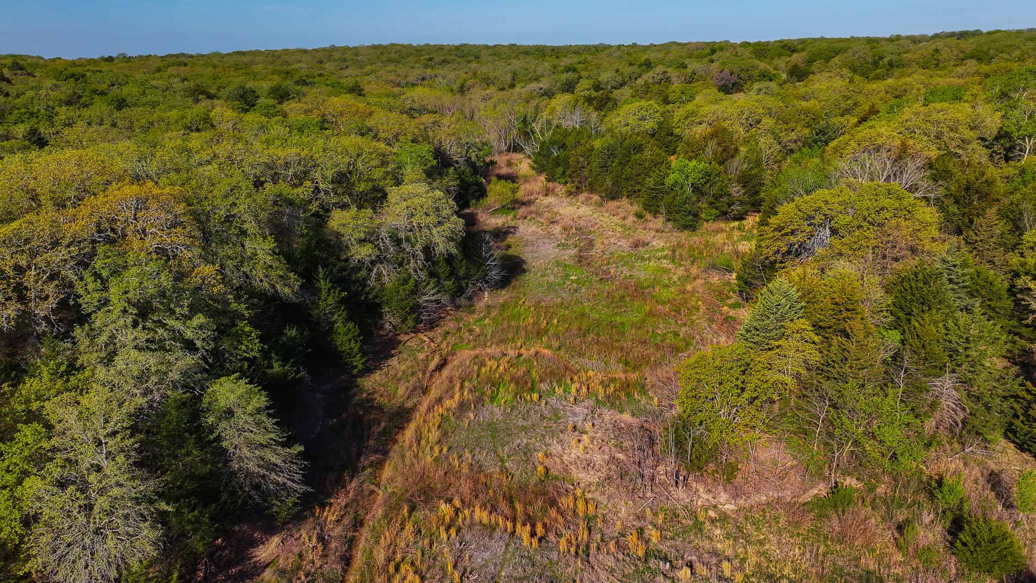485 acre Hunting Ranch in Montague County Texas