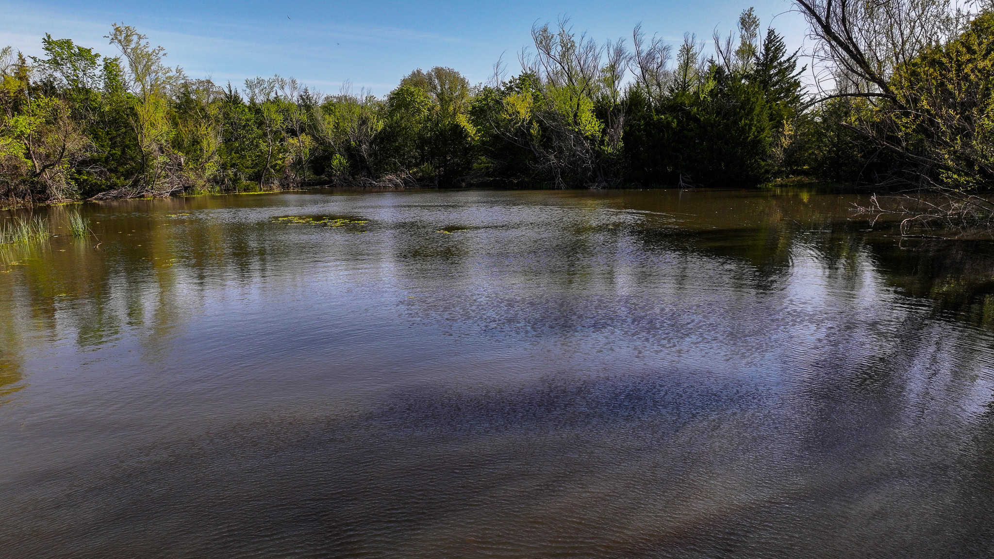 485 acre Hunting Ranch in Montague County Texas