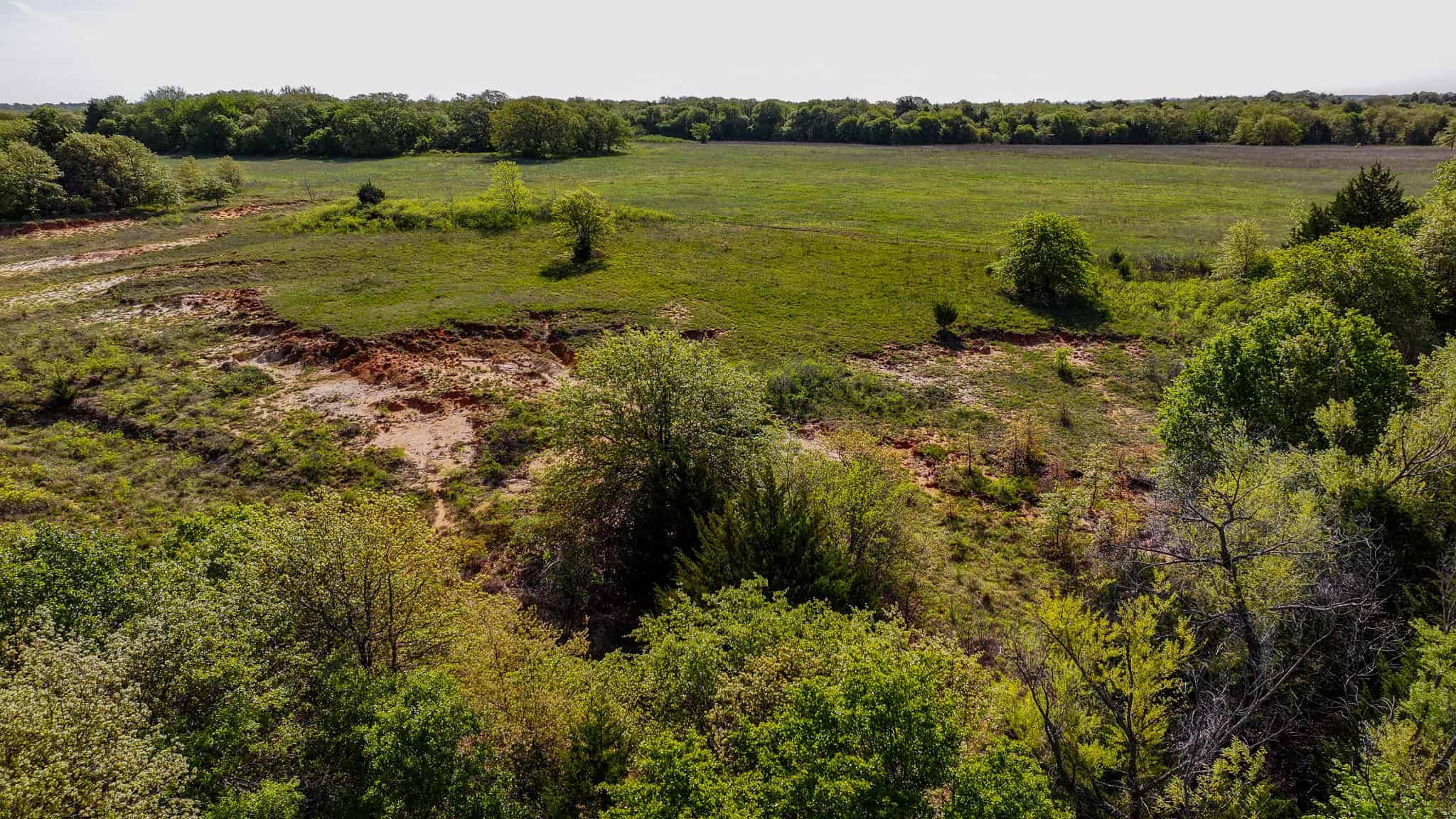 485 acre Hunting Ranch in Montague County Texas