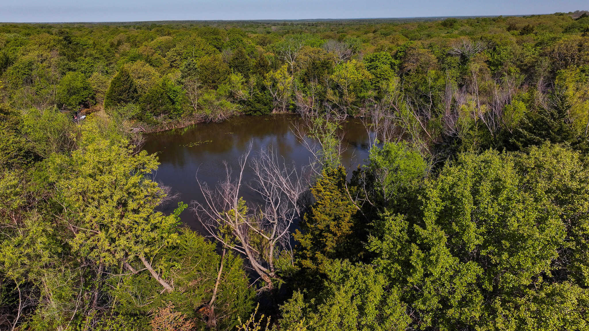 485 acre Hunting Ranch in Montague County Texas