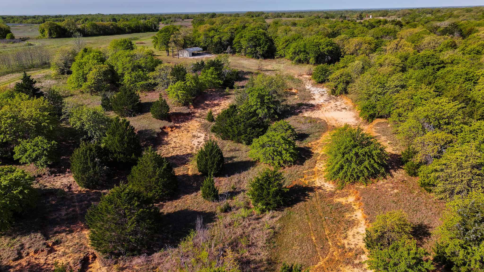 485 acre Hunting Ranch in Montague County Texas