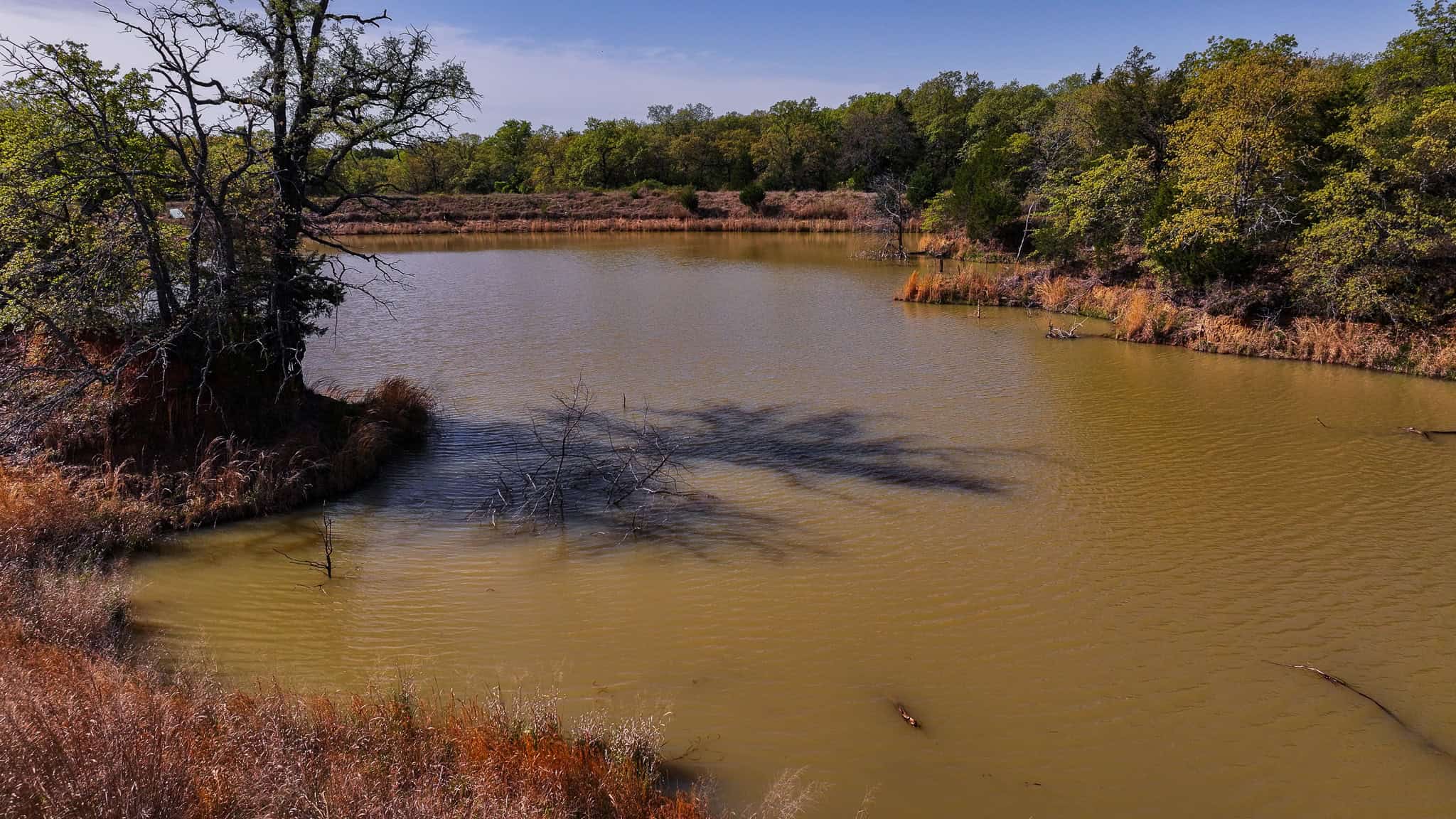 485 acre Hunting Ranch in Montague County Texas