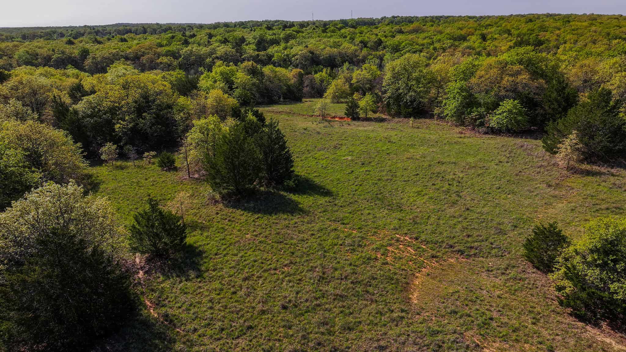 485 acre Hunting Ranch in Montague County Texas