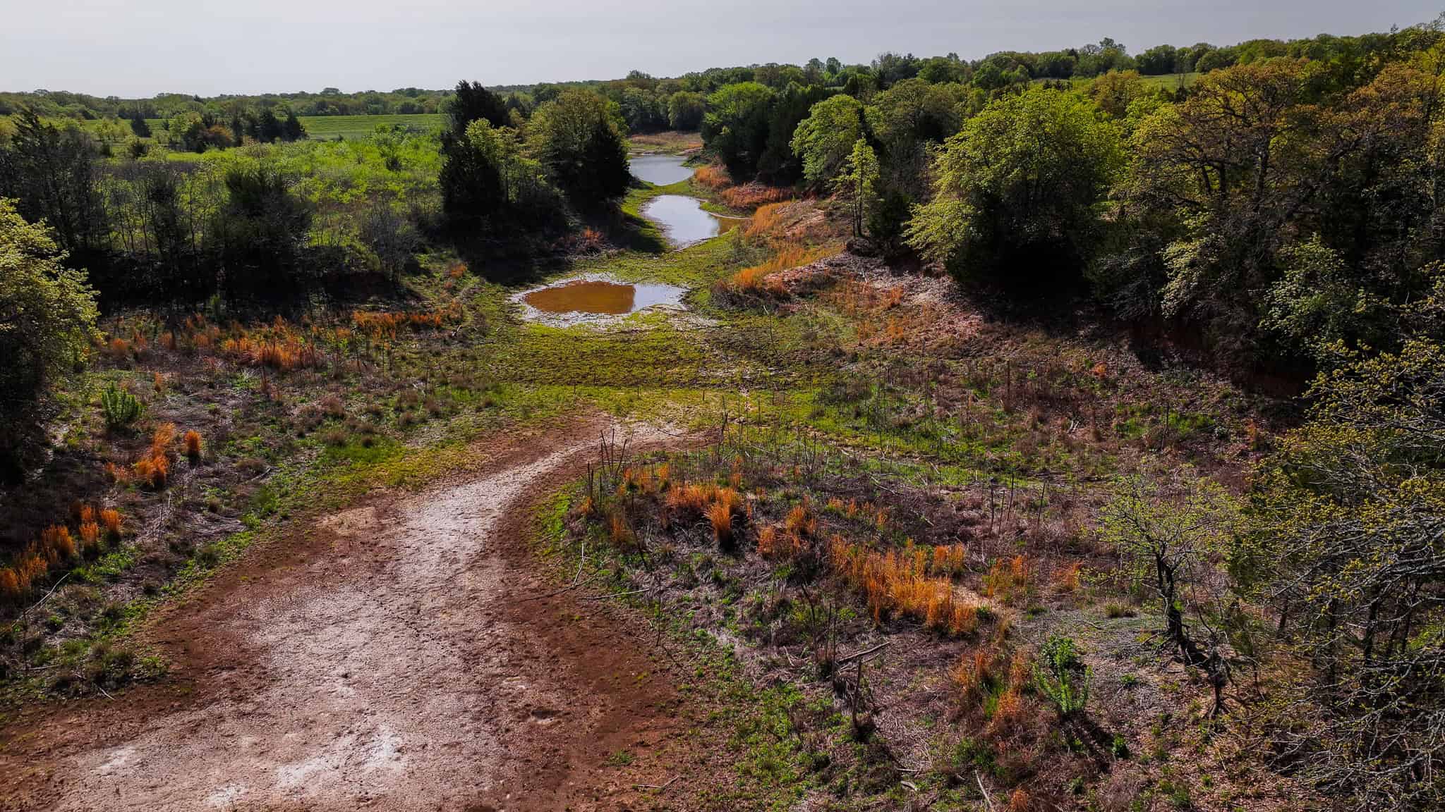 485 acre Hunting Ranch in Montague County Texas