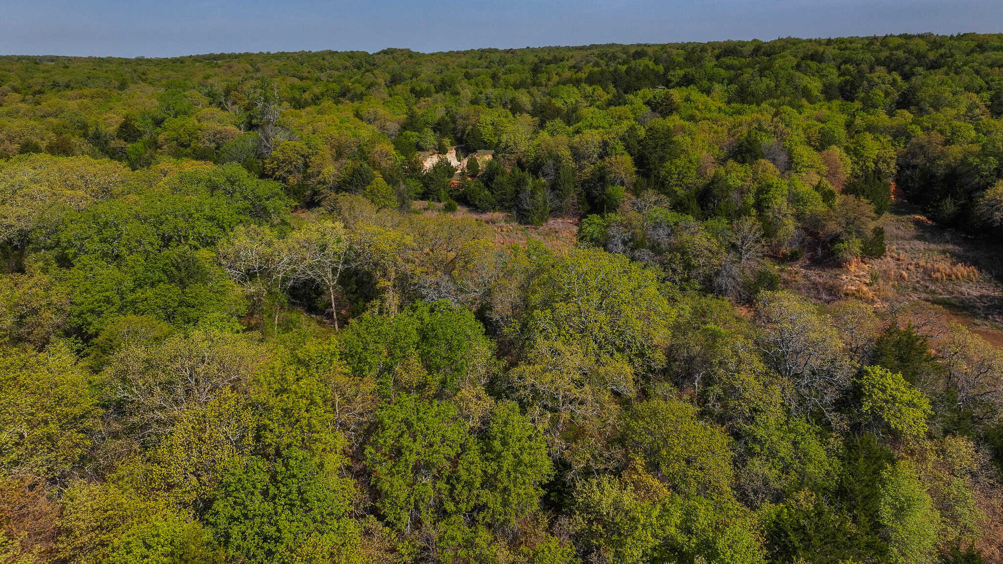 485 acre Hunting Ranch in Montague County Texas