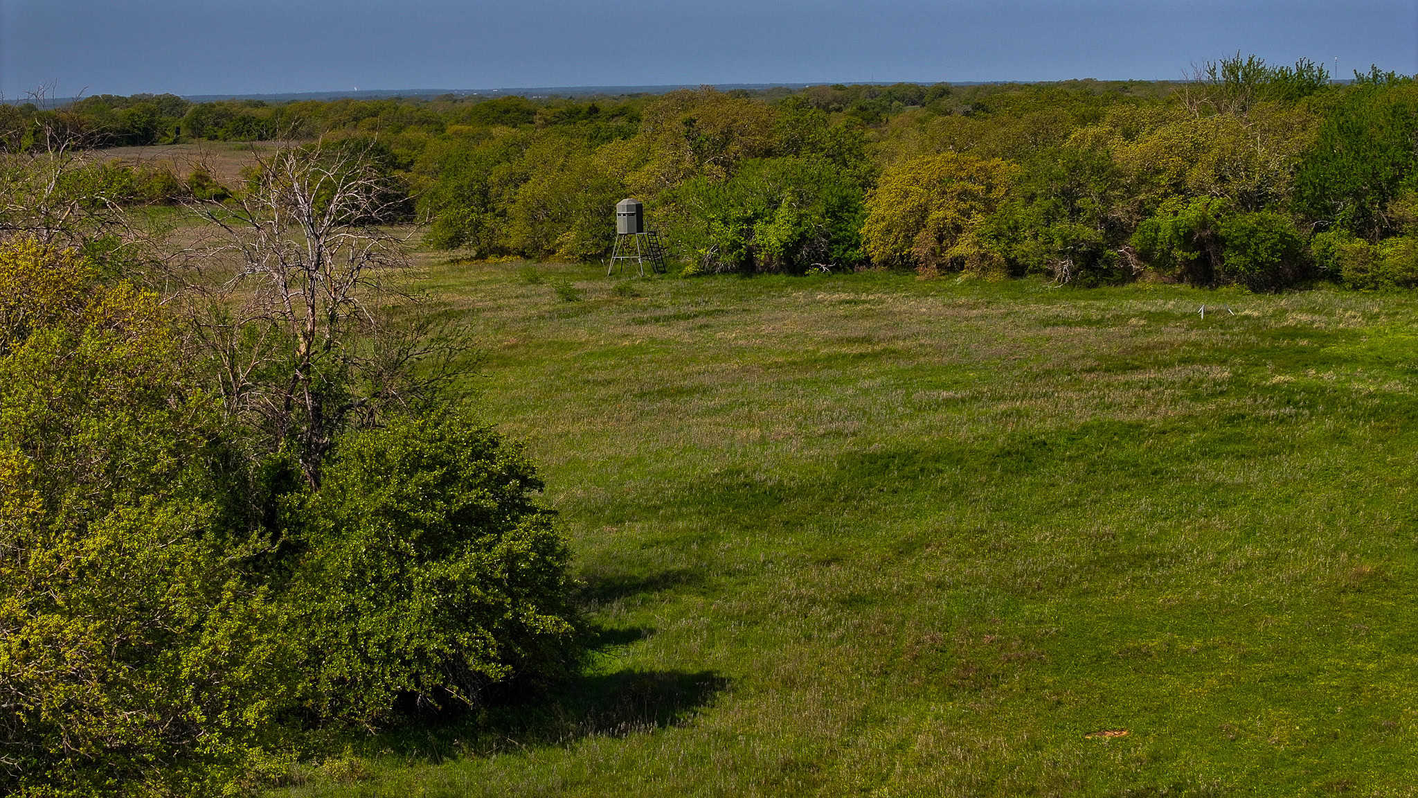 485 acre Hunting Ranch in Montague County Texas