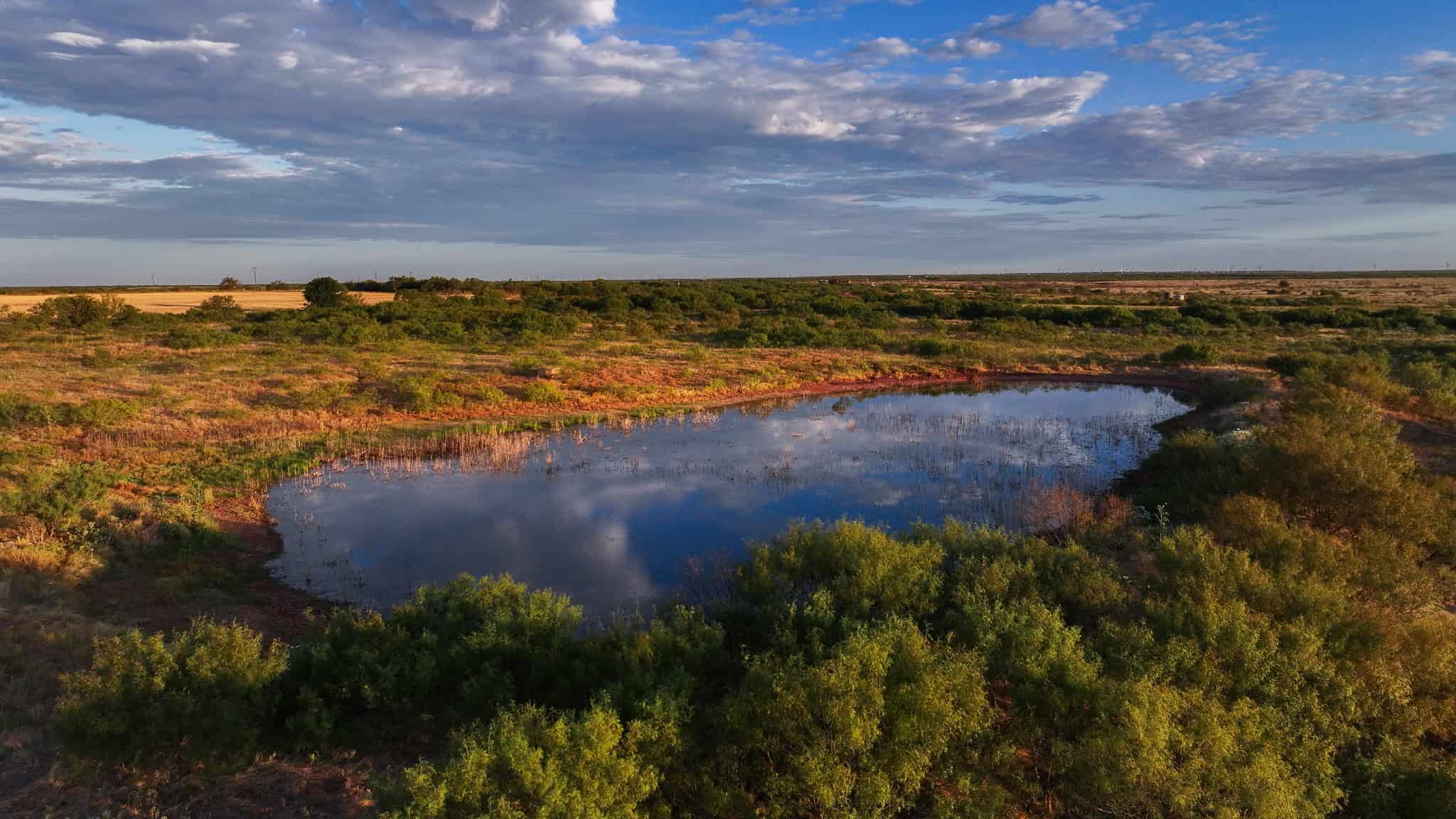 376 acre Recreational Ranch in Wichita County Texas