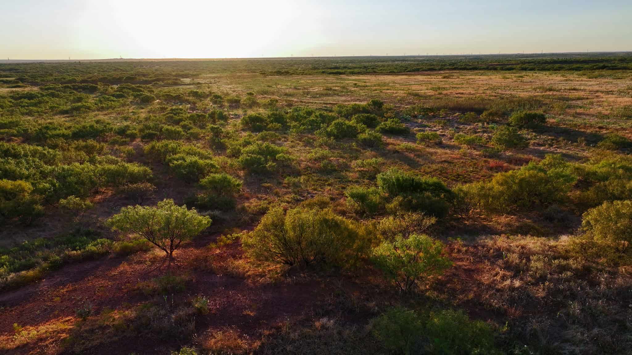 376 acre Recreational Ranch in Wichita County Texas