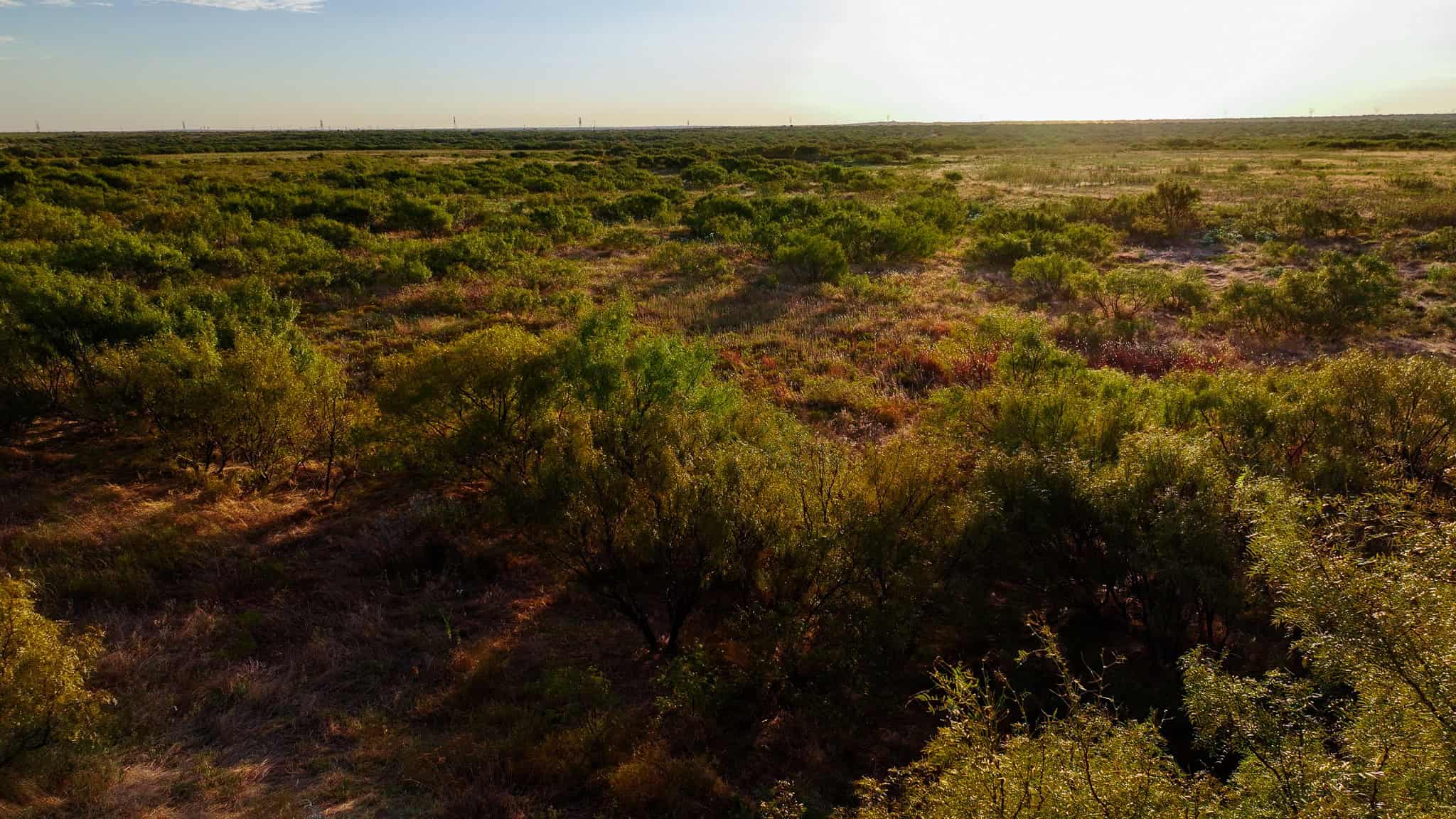 376 acre Recreational Ranch in Wichita County Texas