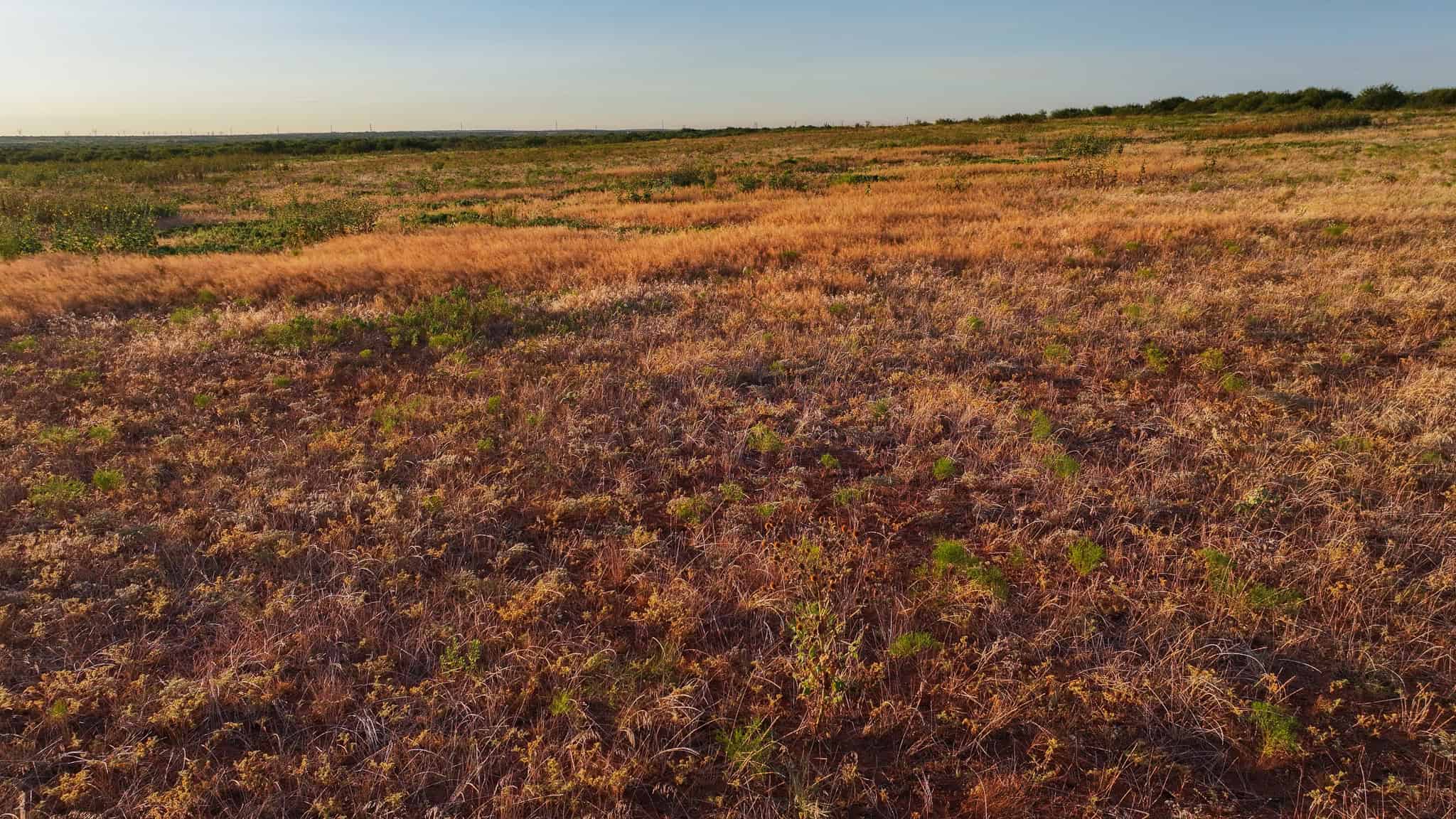 376 acre Recreational Ranch in Wichita County Texas