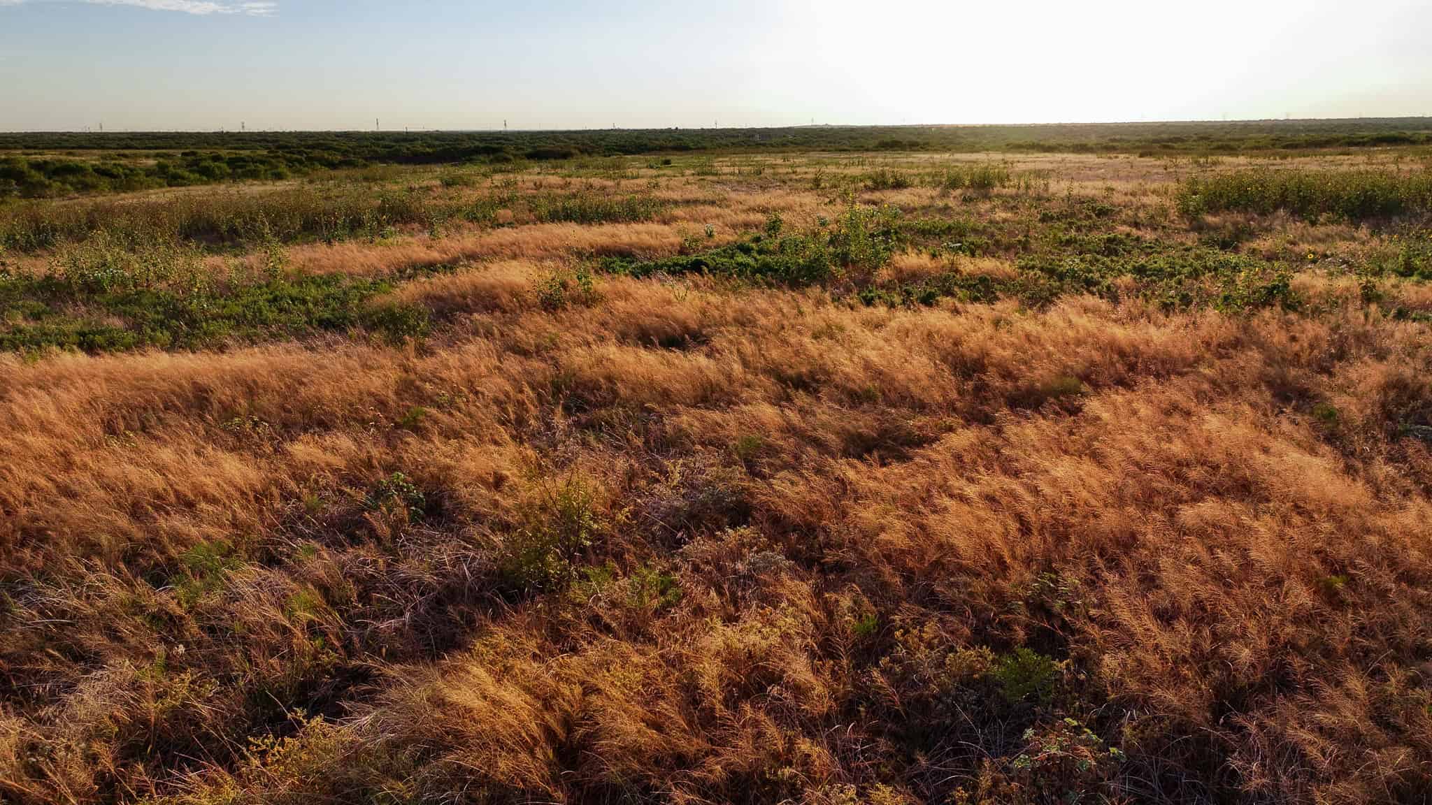 376 acre Recreational Ranch in Wichita County Texas