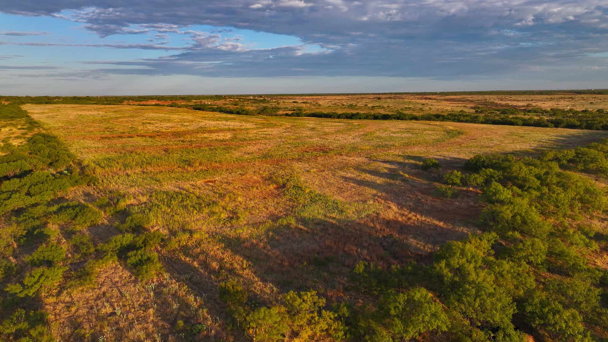 376 acre Recreational Ranch in Wichita County Texas