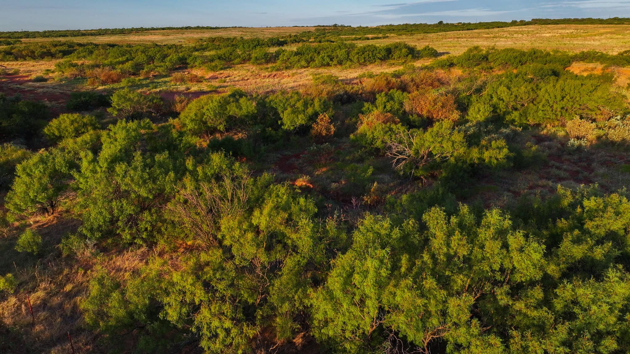 376 acre Recreational Ranch in Wichita County Texas
