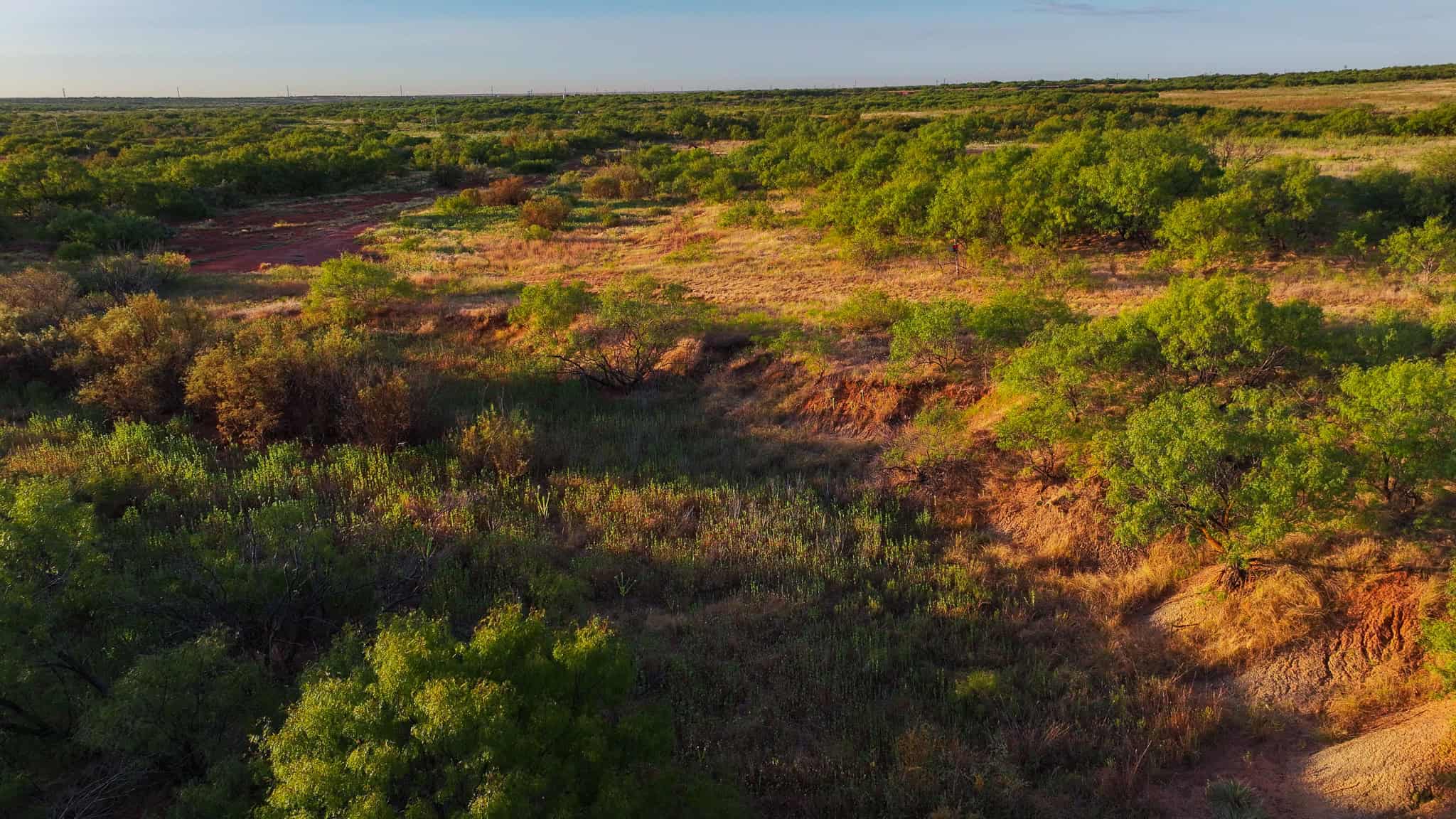 376 acre Recreational Ranch in Wichita County Texas