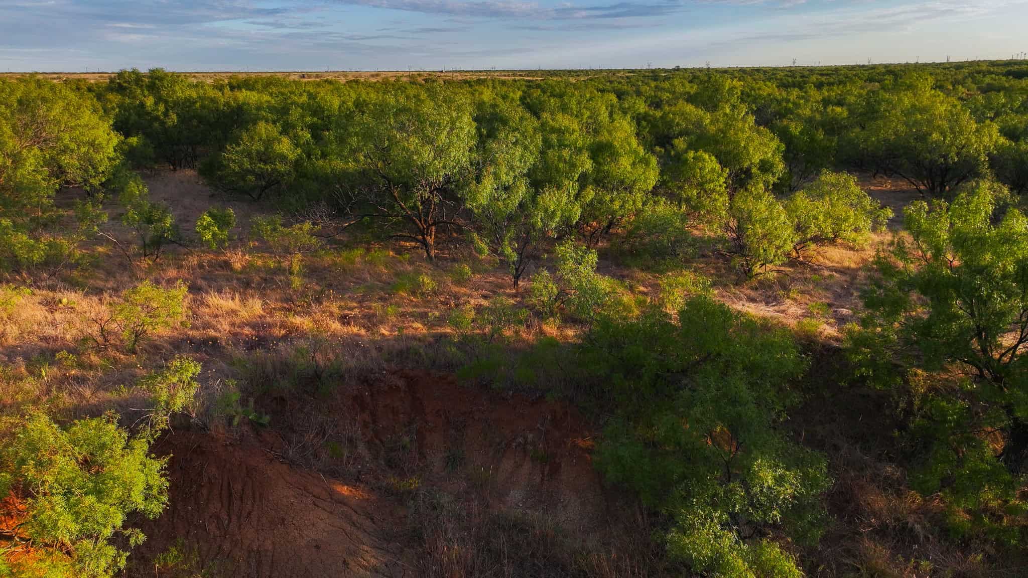 376 acre Recreational Ranch in Wichita County Texas
