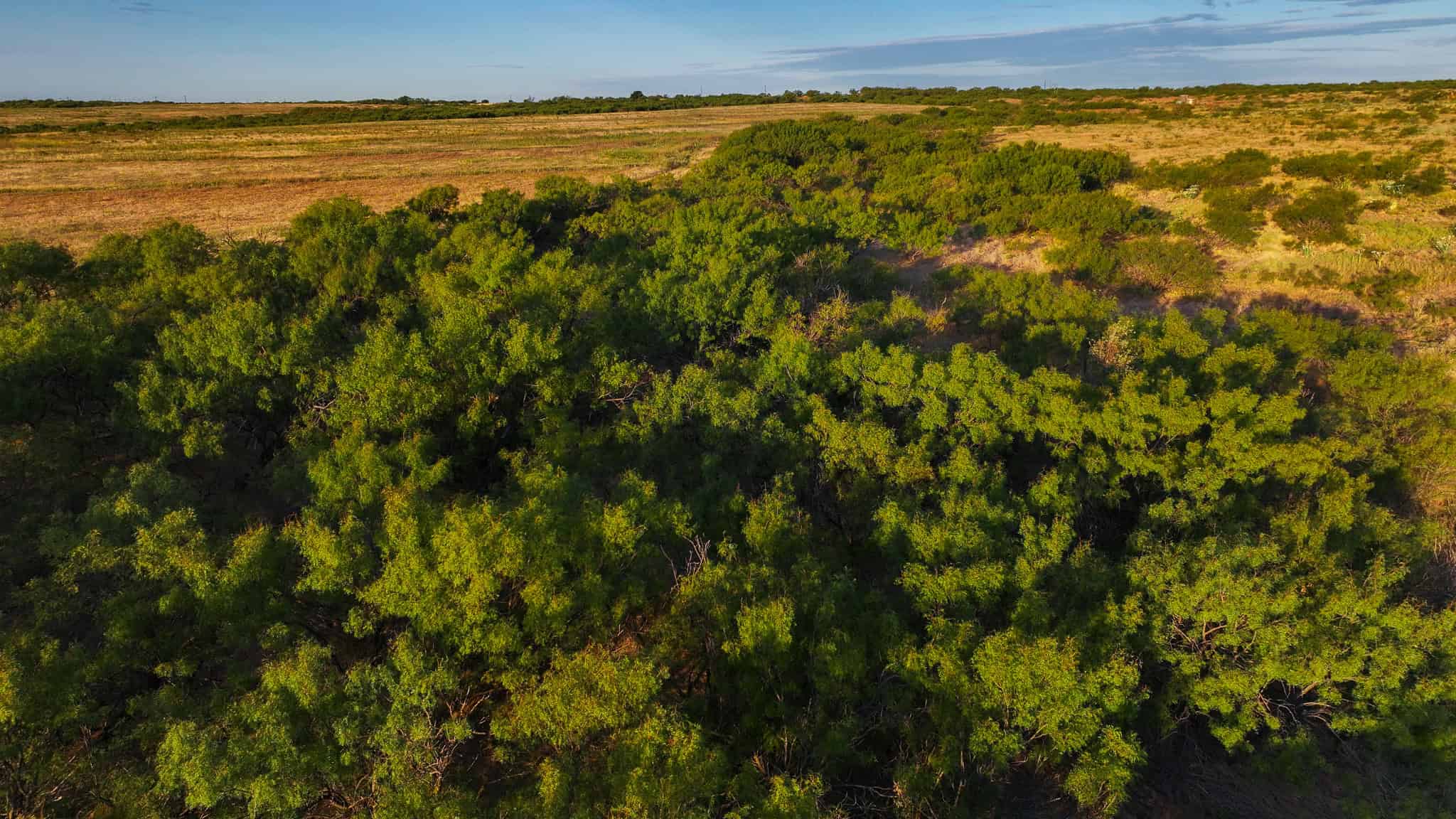 376 acre Recreational Ranch in Wichita County Texas