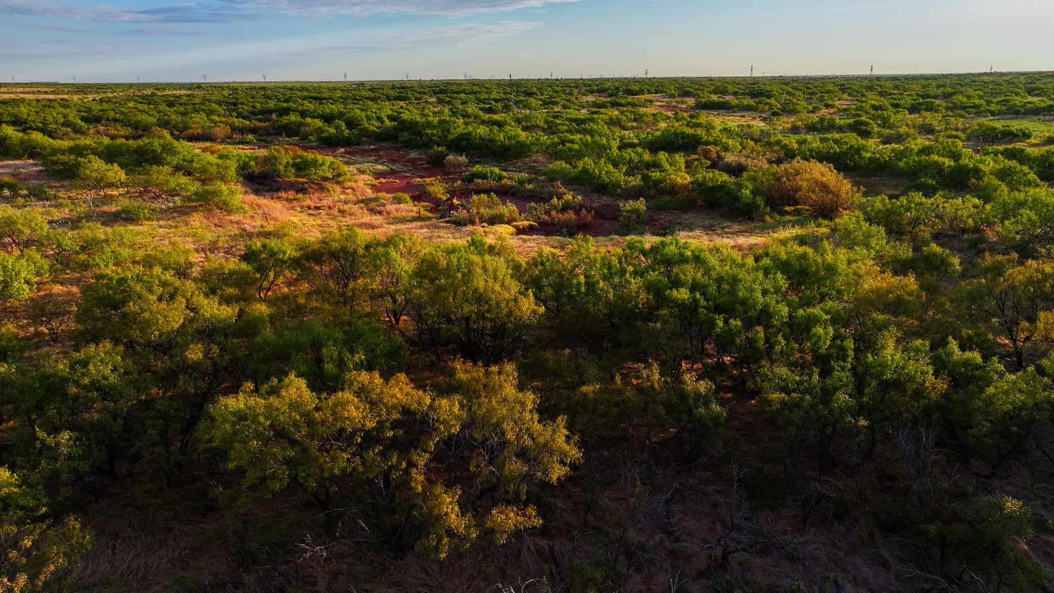 376 acre Recreational Ranch in Wichita County Texas