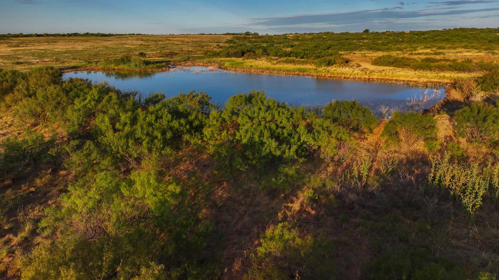 376 acre Recreational Ranch in Wichita County Texas