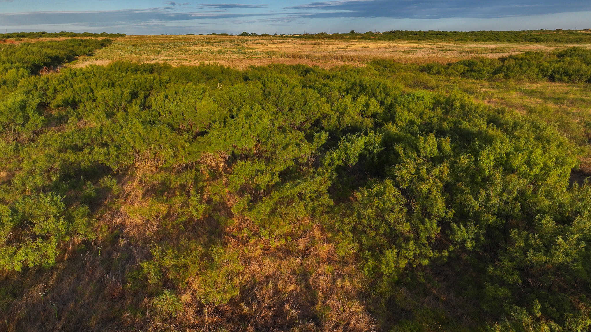 376 acre Recreational Ranch in Wichita County Texas