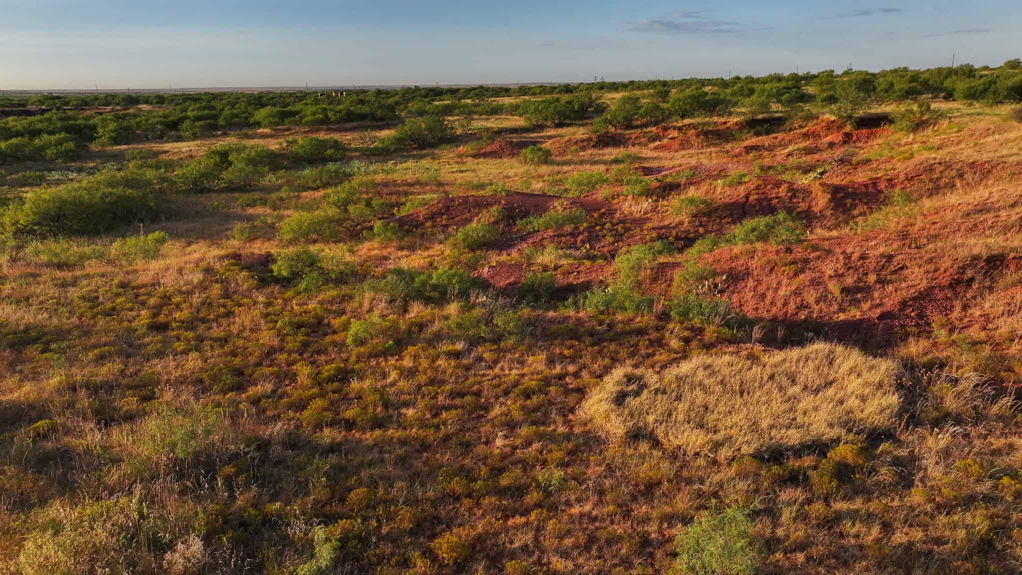 376 acre Recreational Ranch in Wichita County Texas