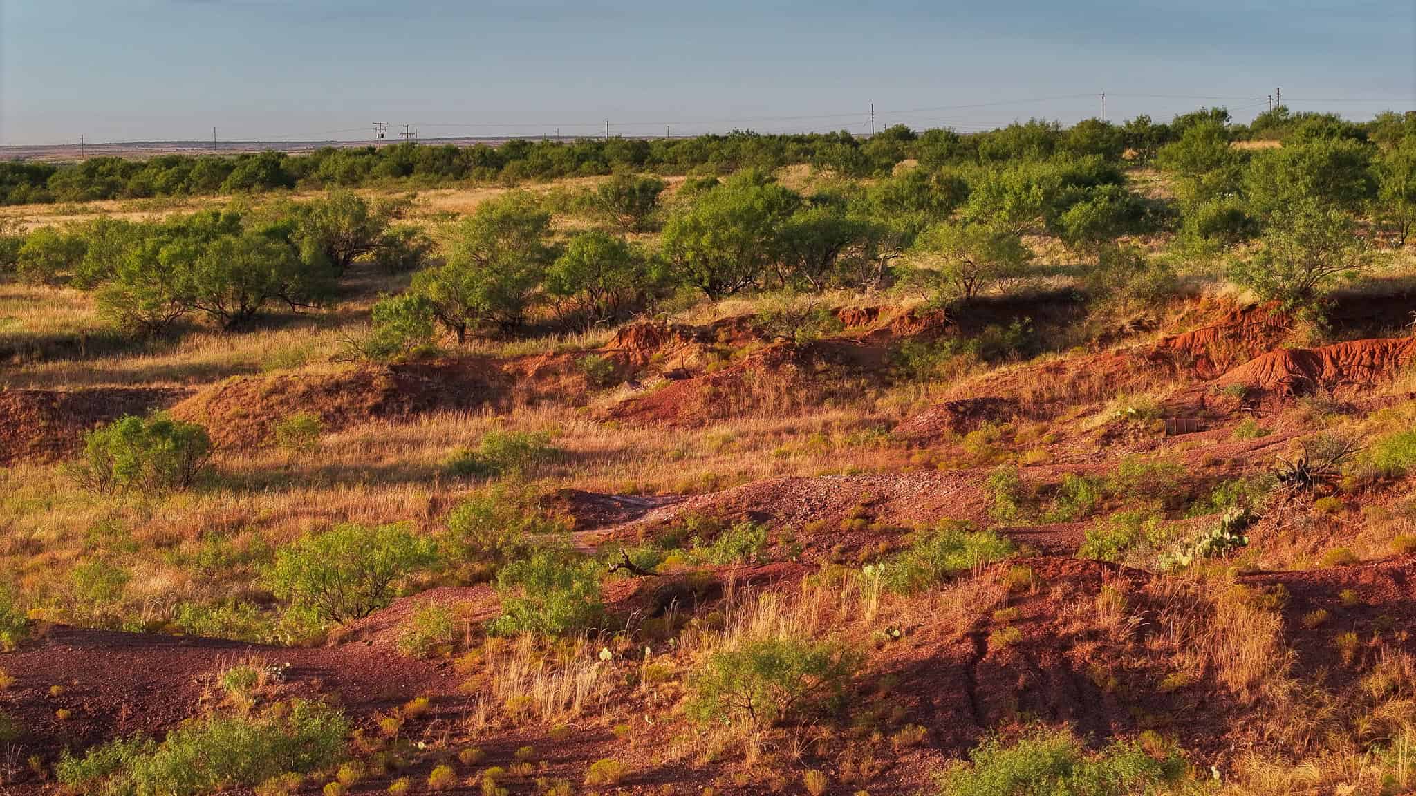 376 acre Recreational Ranch in Wichita County Texas