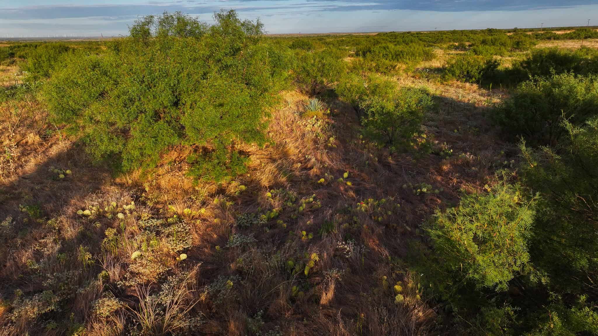 376 acre Recreational Ranch in Wichita County Texas