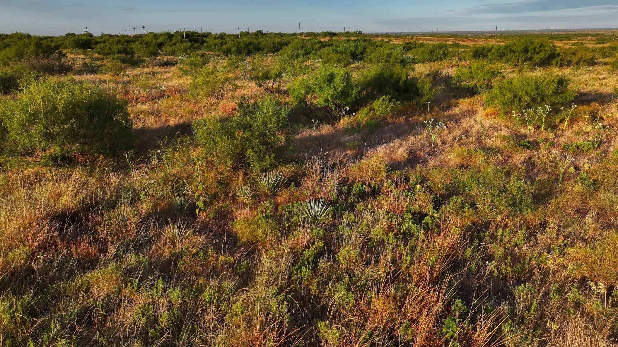 376 acre Recreational Ranch in Wichita County Texas