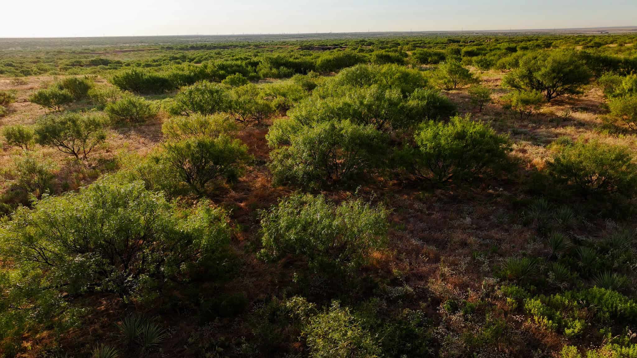 376 acre Recreational Ranch in Wichita County Texas