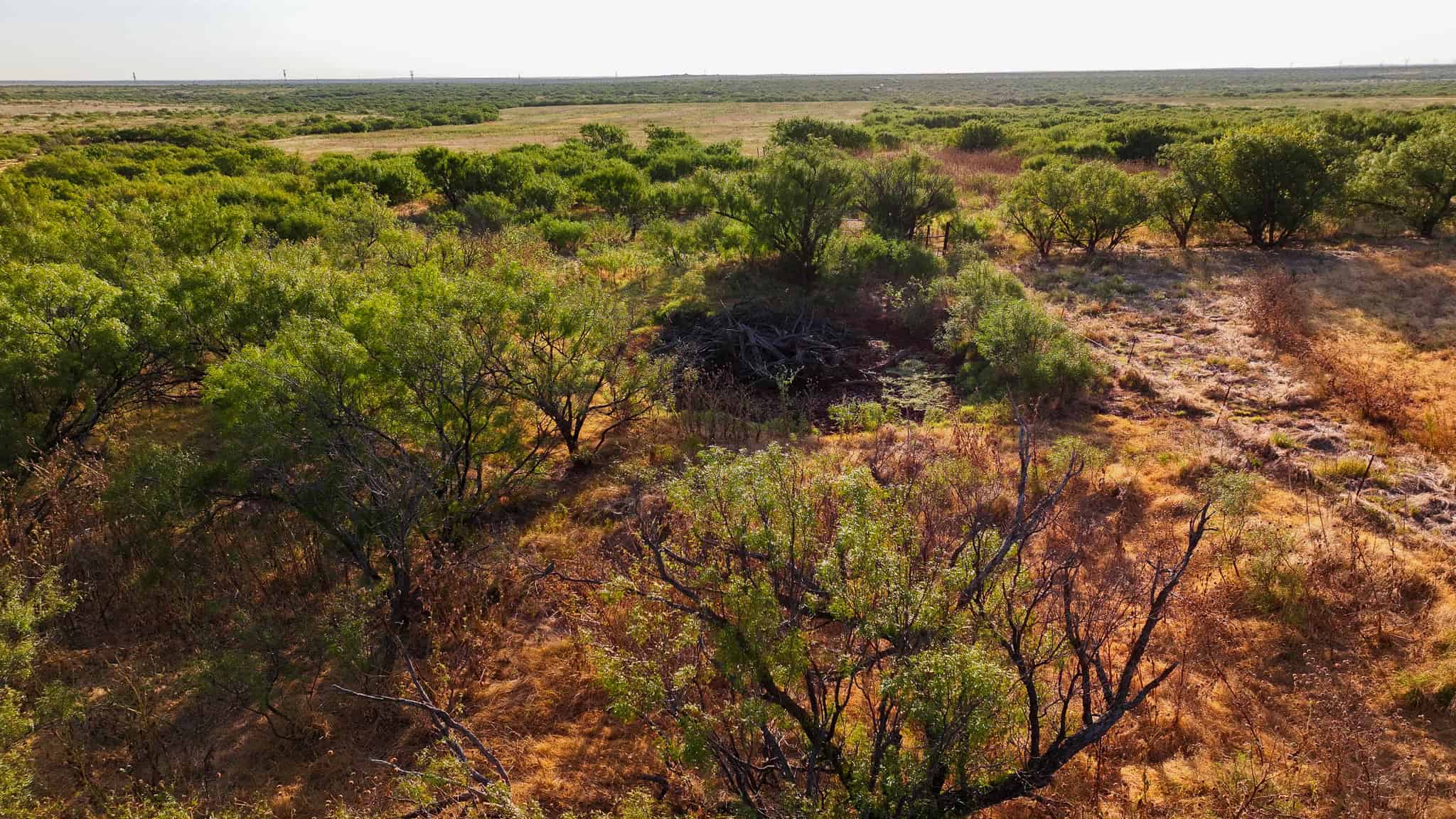 376 acre Recreational Ranch in Wichita County Texas