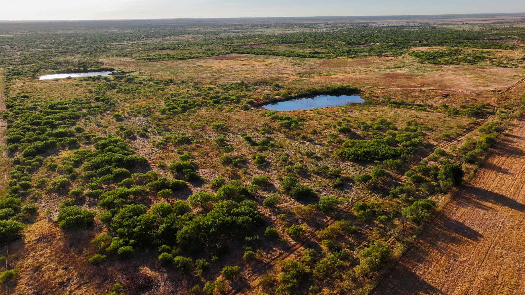 376 acre Recreational Ranch in Wichita County Texas