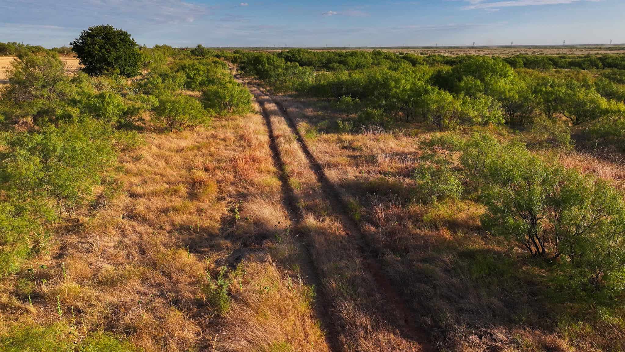 376 acre Recreational Ranch in Wichita County Texas